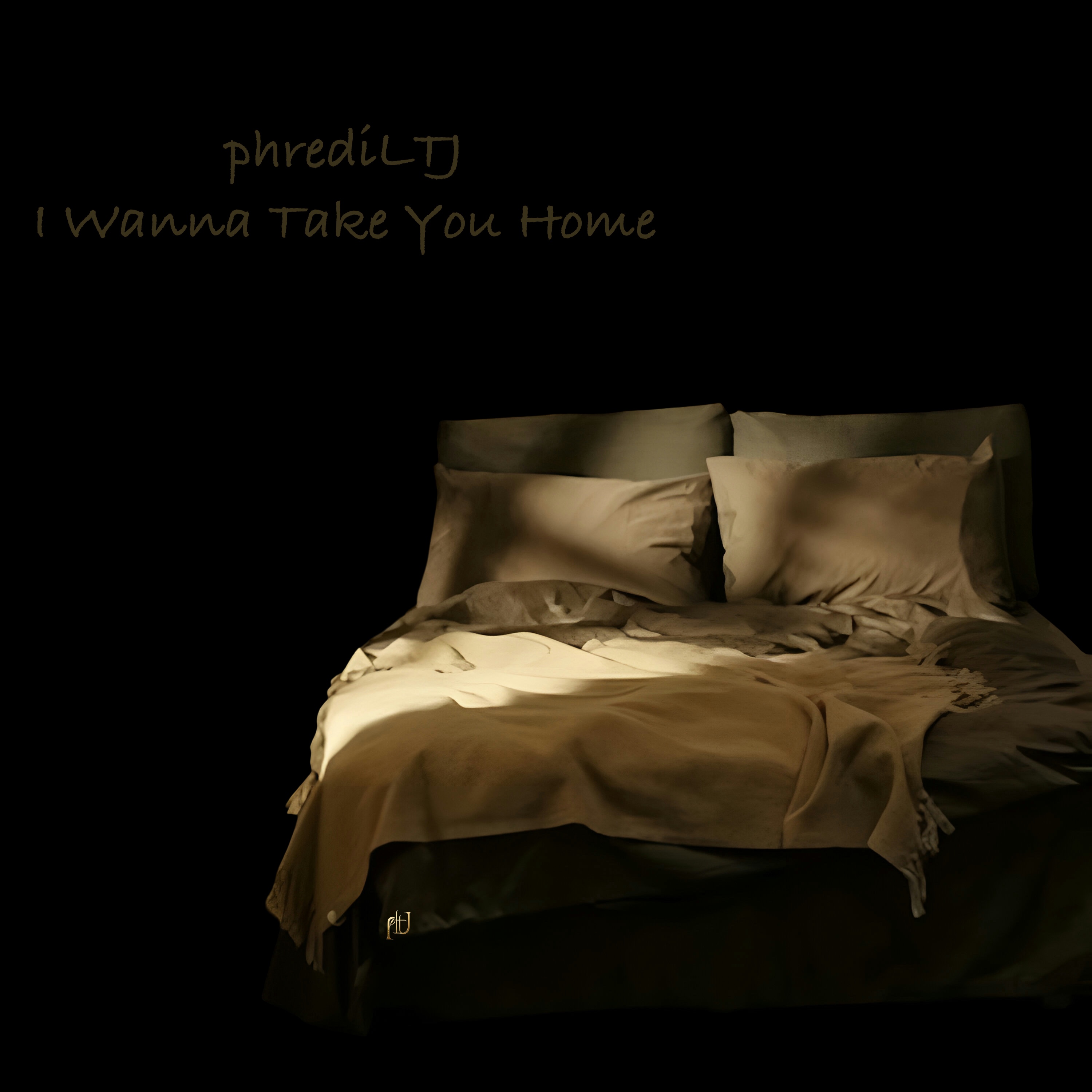 I Wanna Take You Home artwork