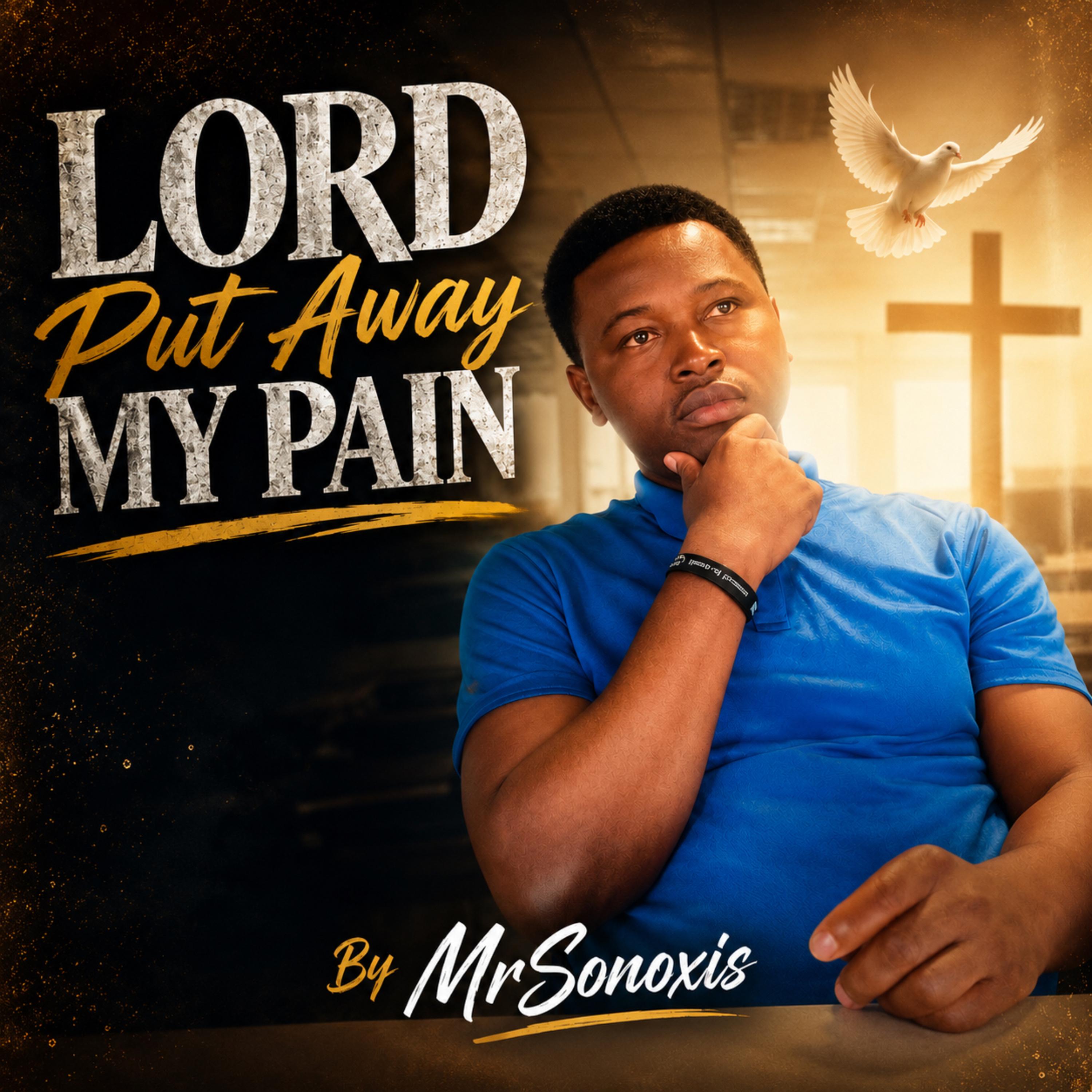 Lord Put Away My Pain by MrSonoxis cover art