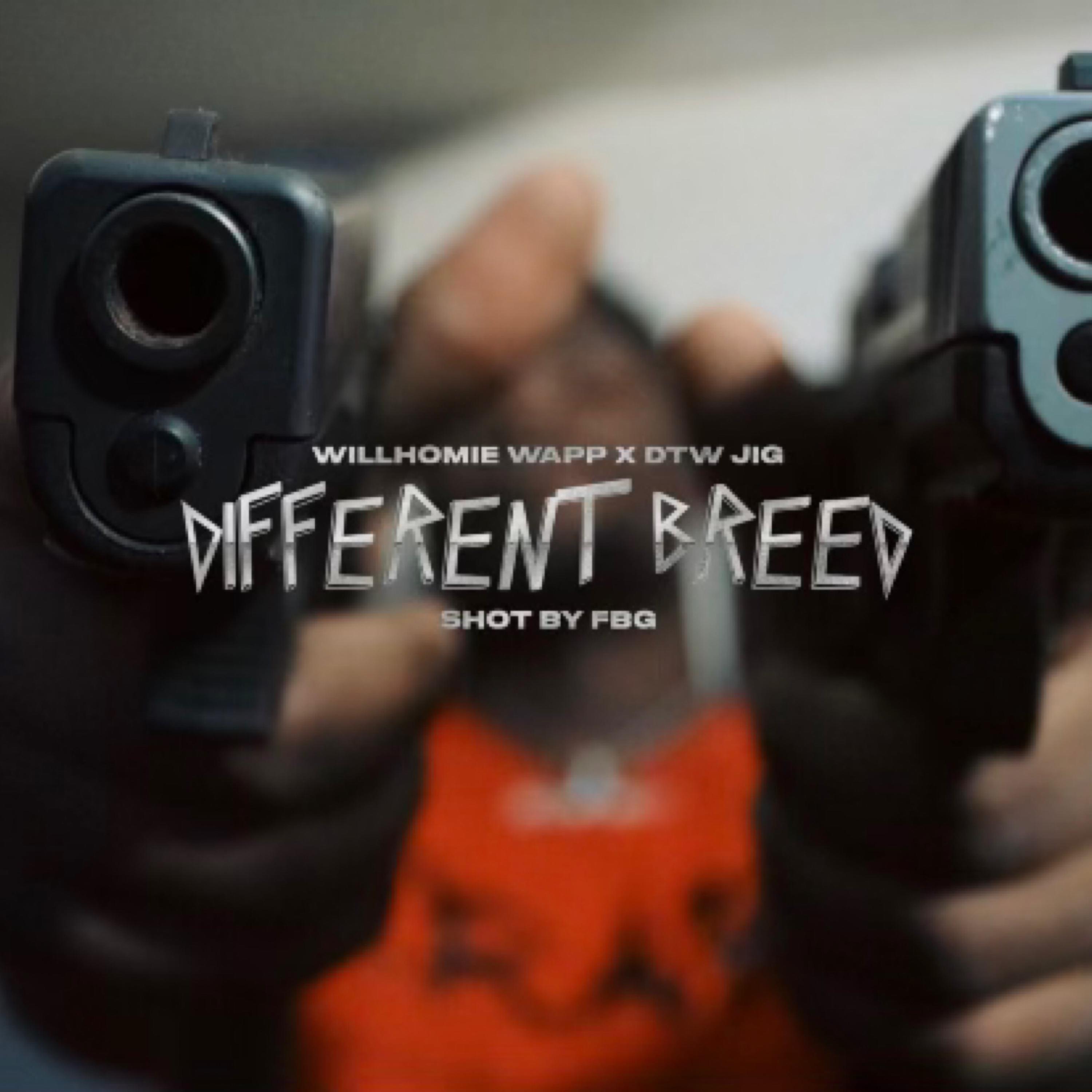 Different Breed artwork