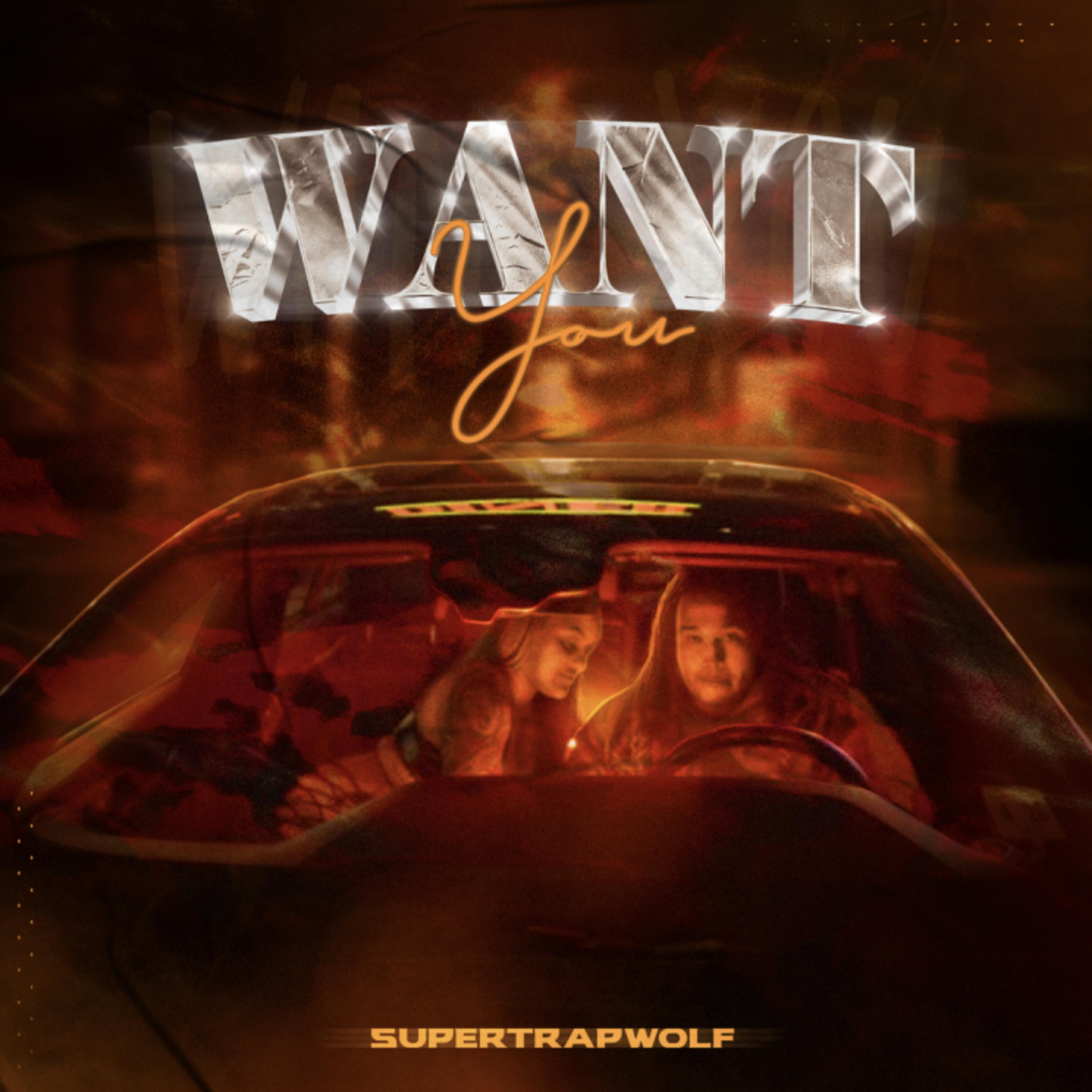 Want You artwork