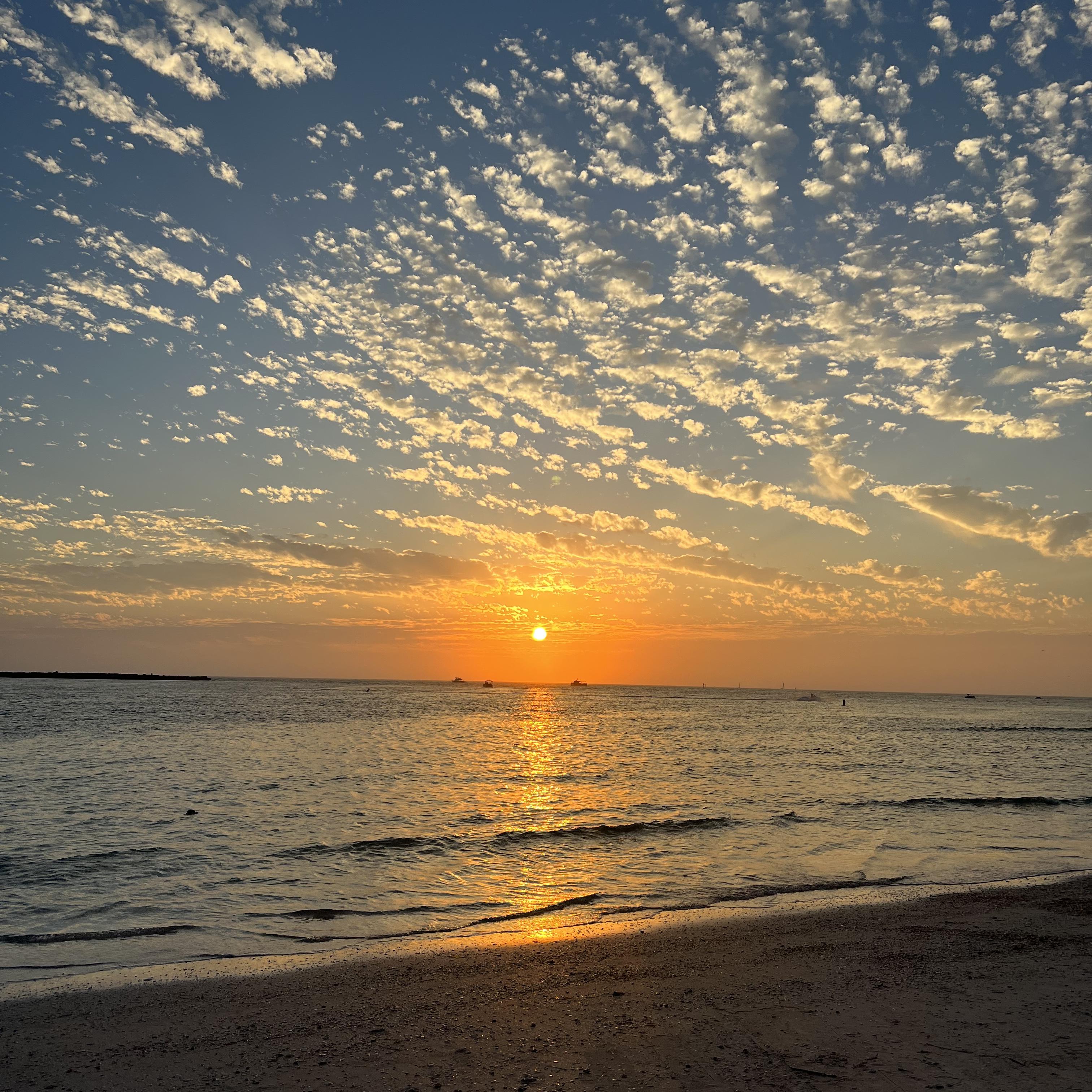 Groove Whisperer artwork