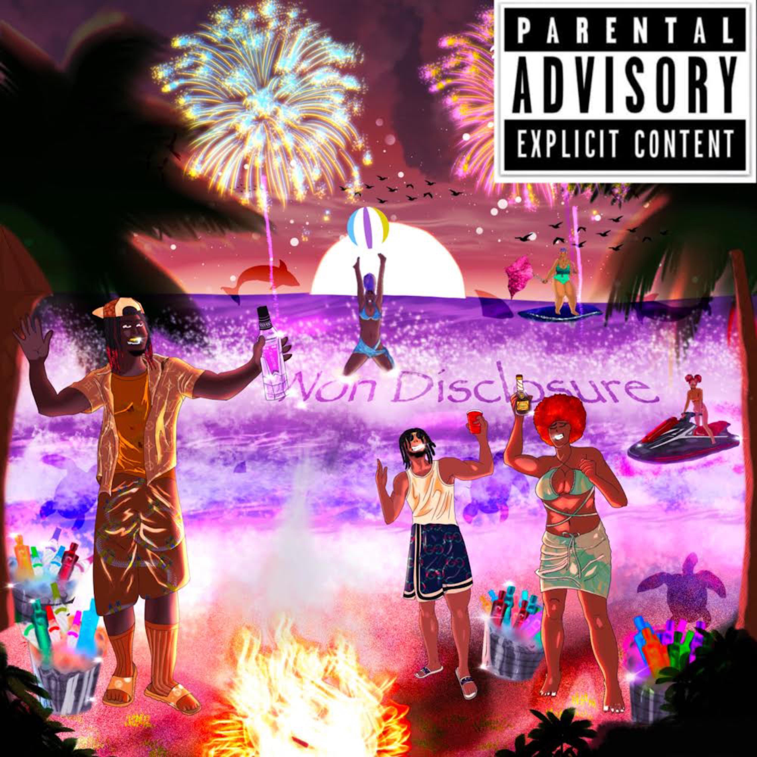 Non Disclosure artwork