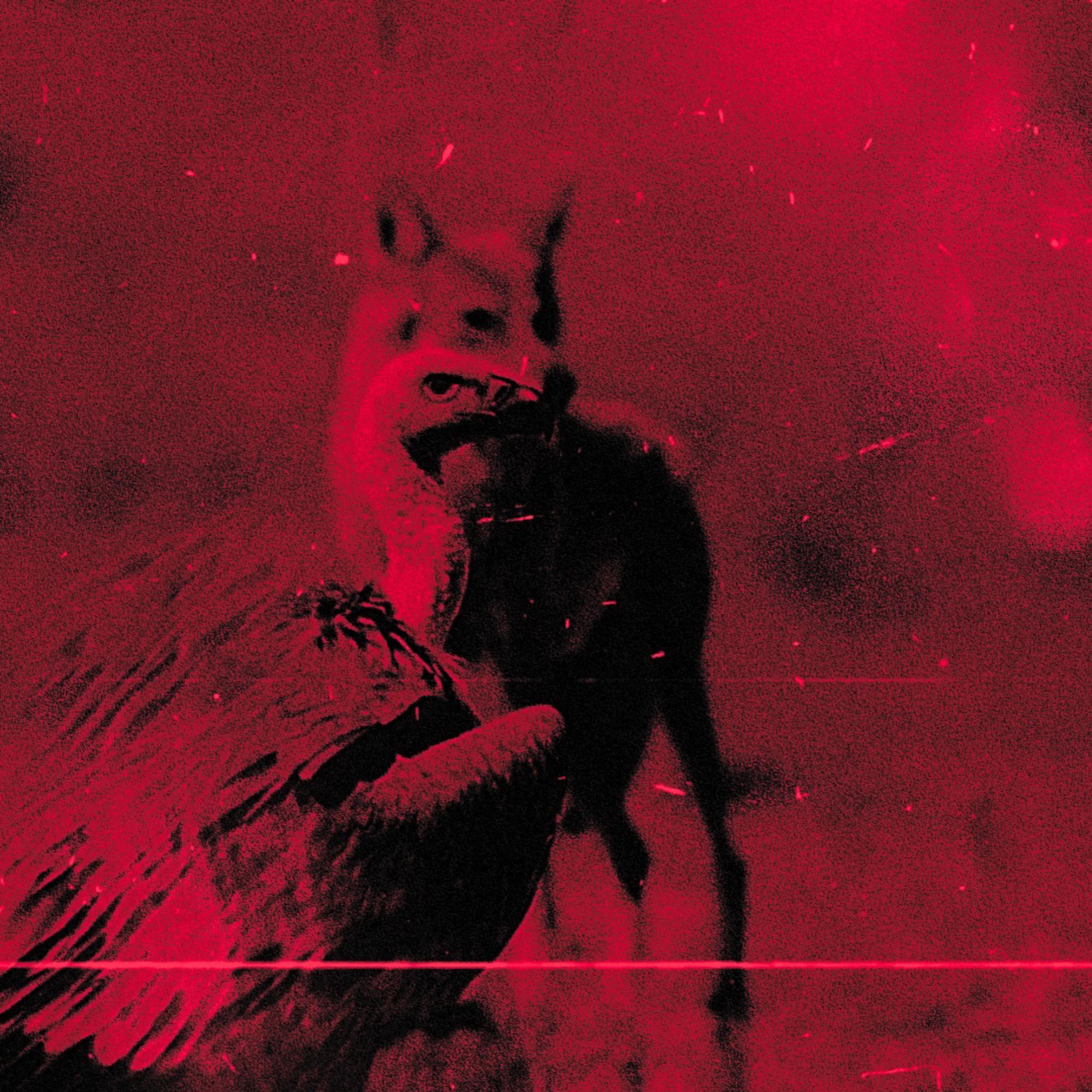 600 DEGREE BOYS artwork