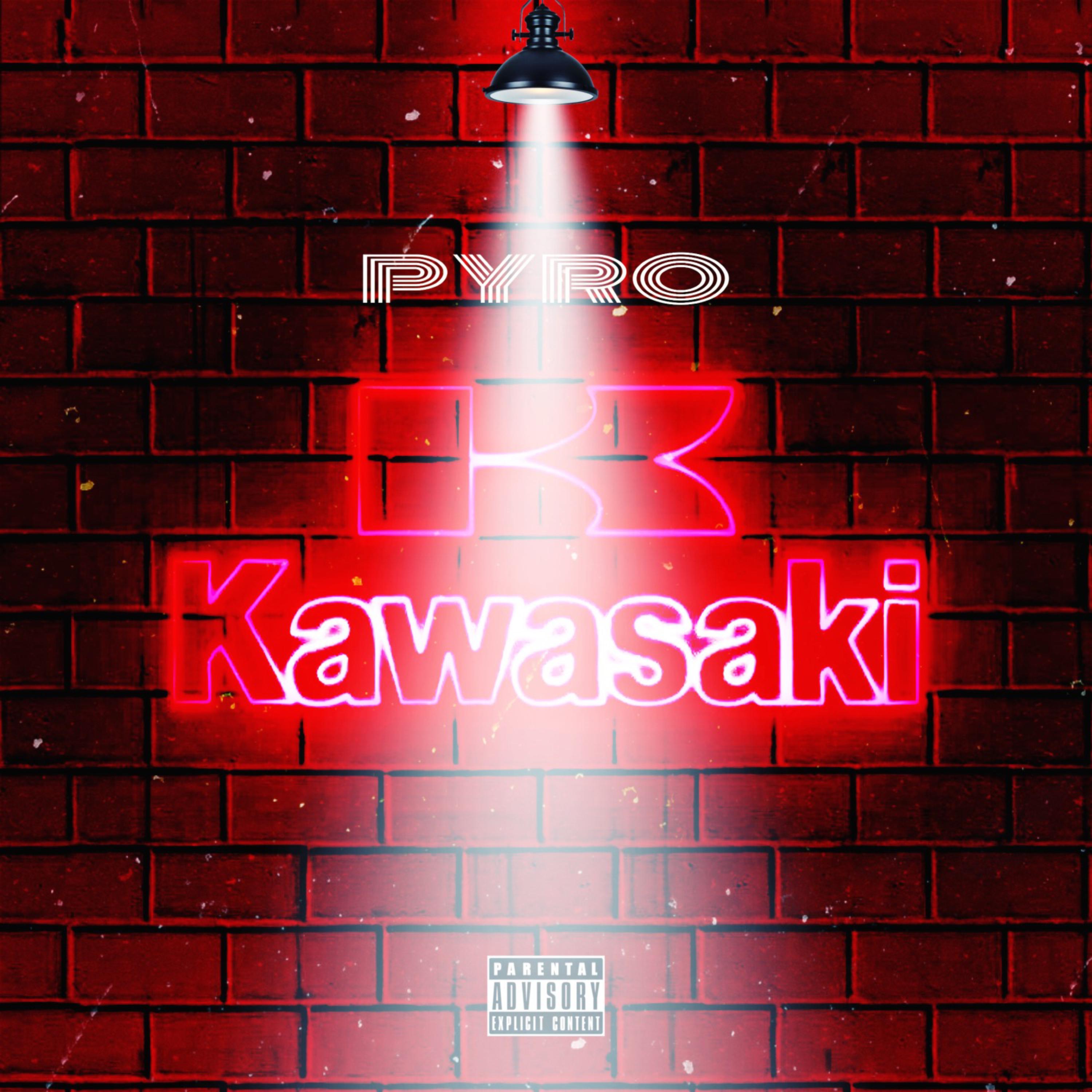 Kawasaki artwork