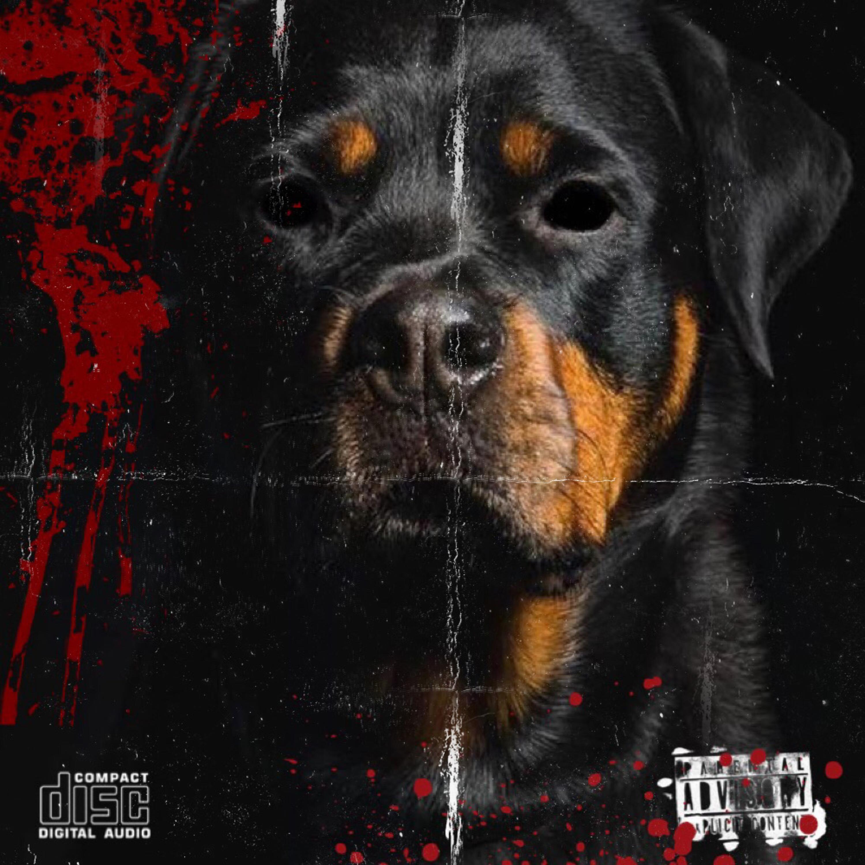 Dawg Eat Dawg World artwork