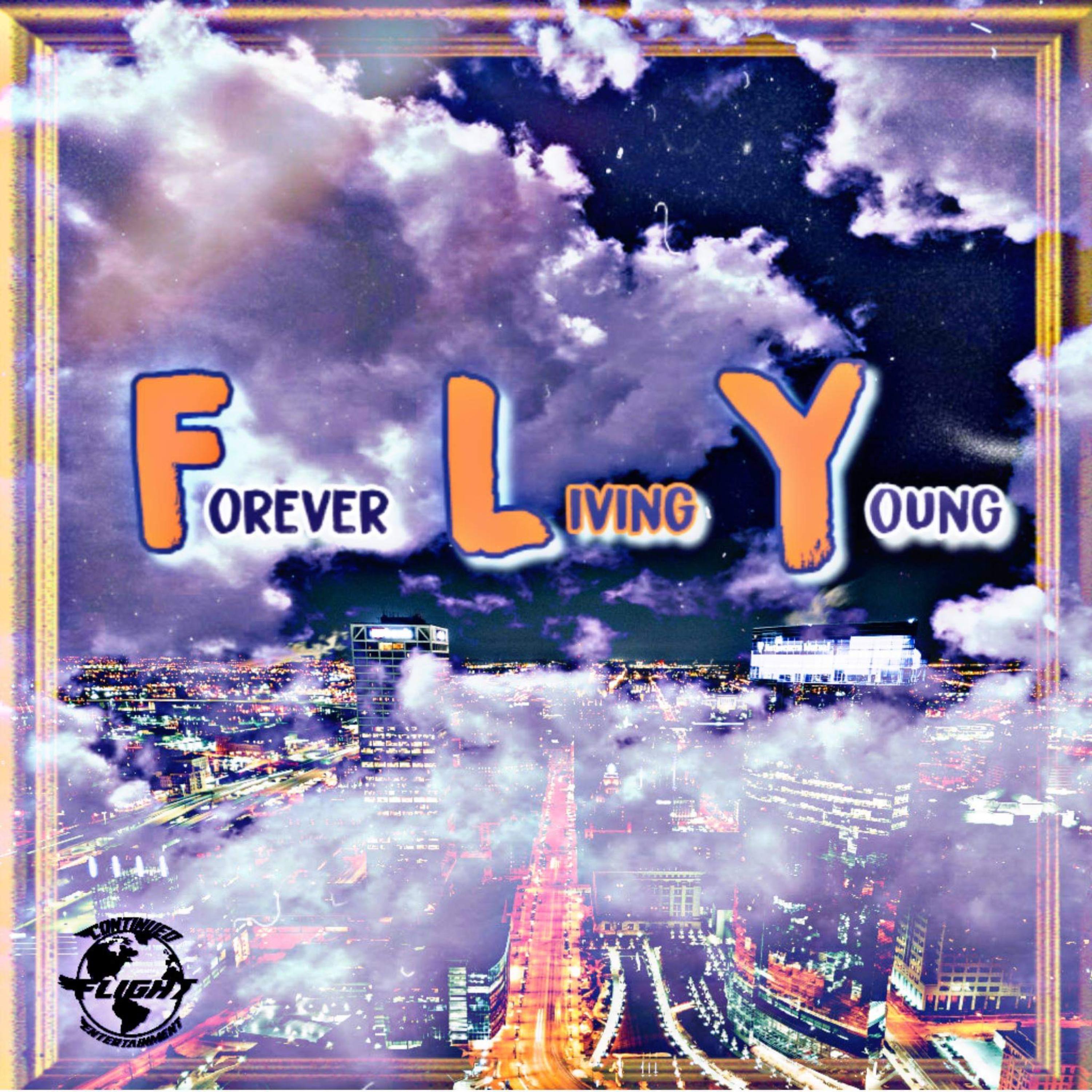 F.L.Y artwork
