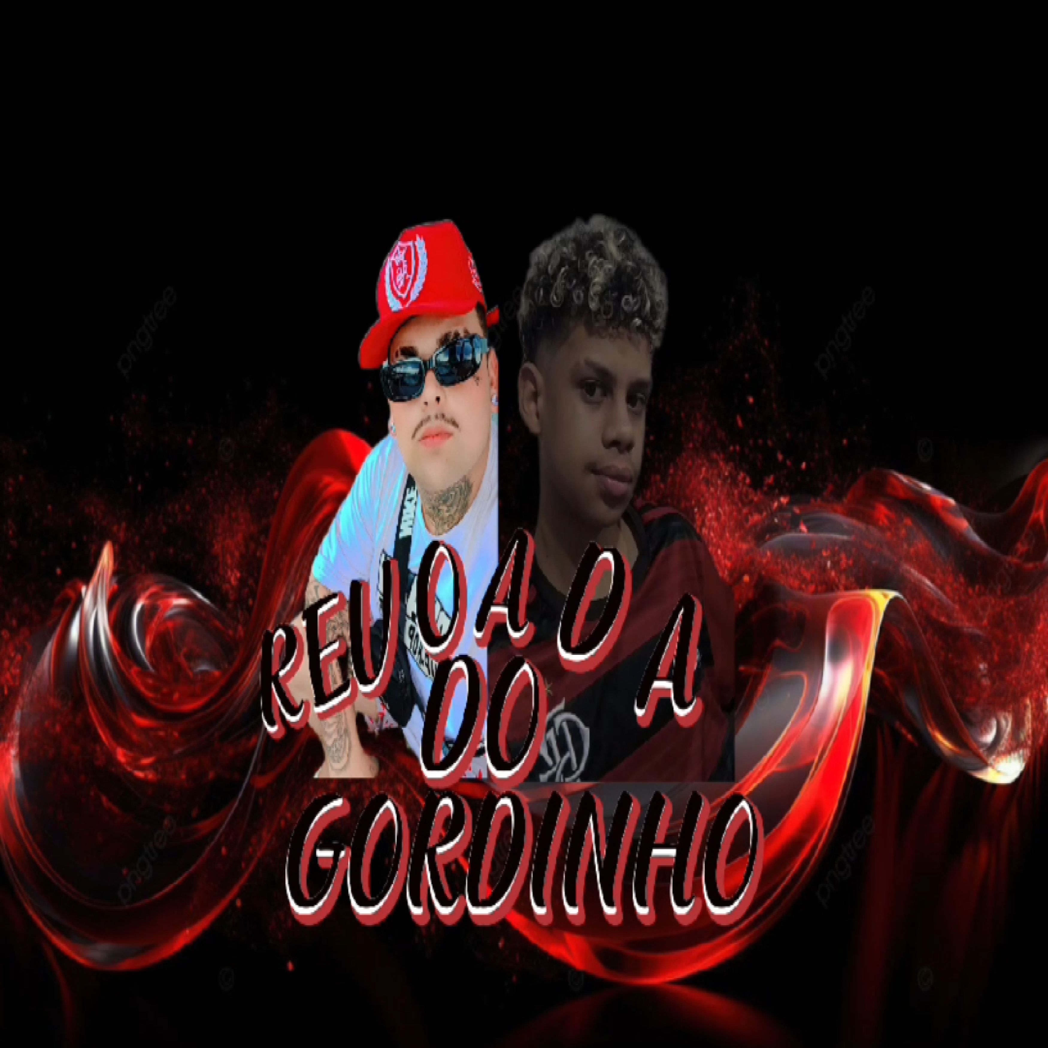 REVOADA DO GORDINHO artwork