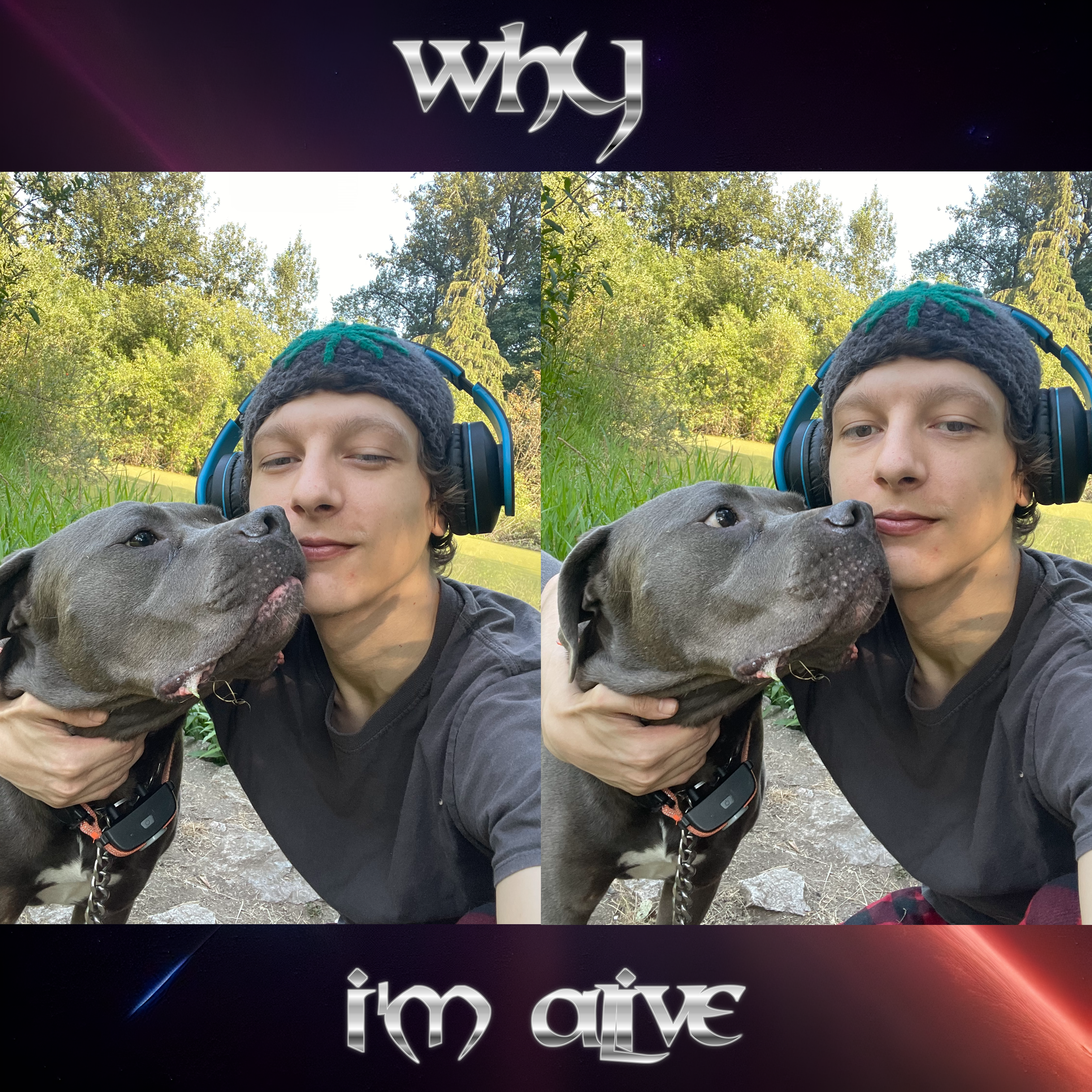 WHY I'M ALIVE artwork