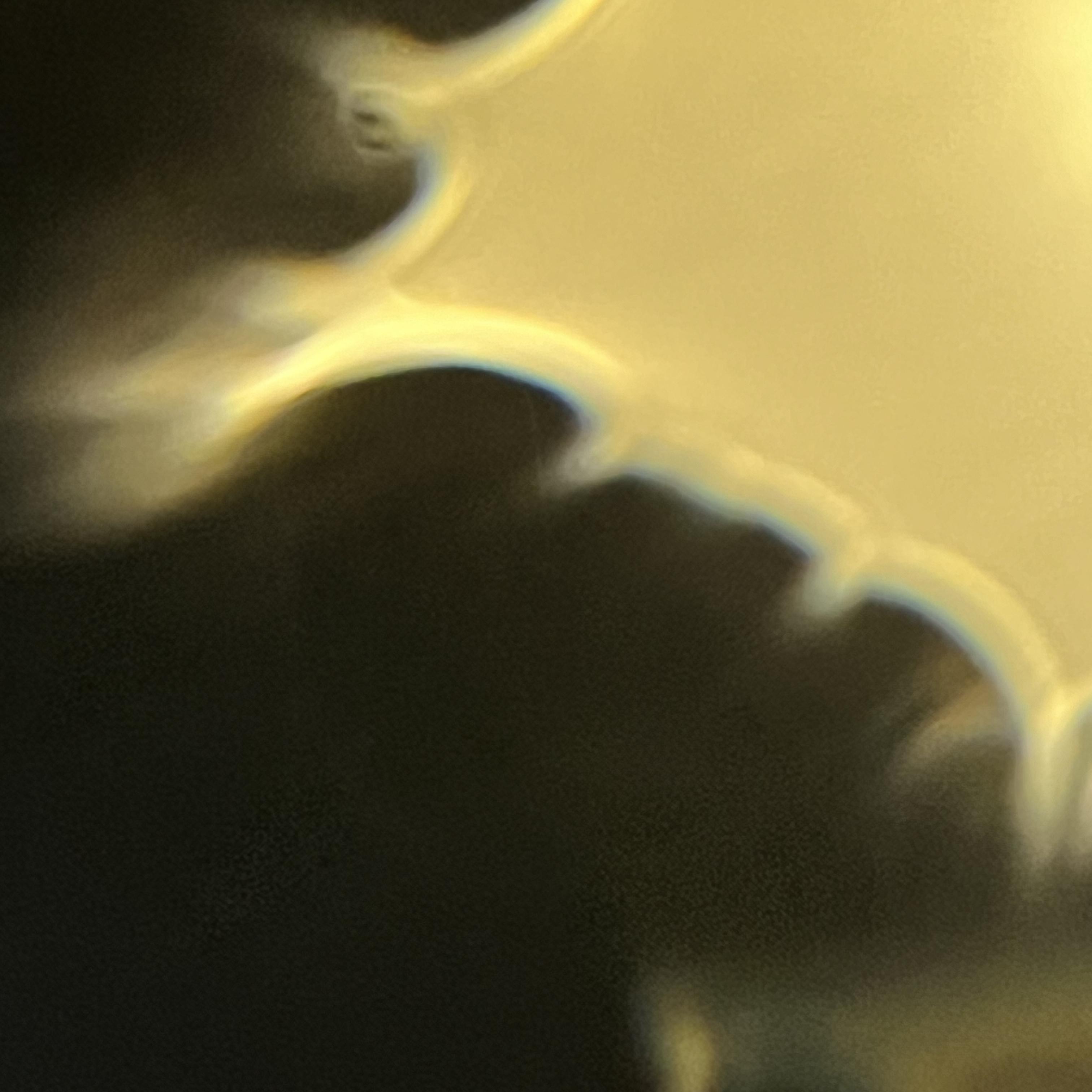 GOLD. artwork