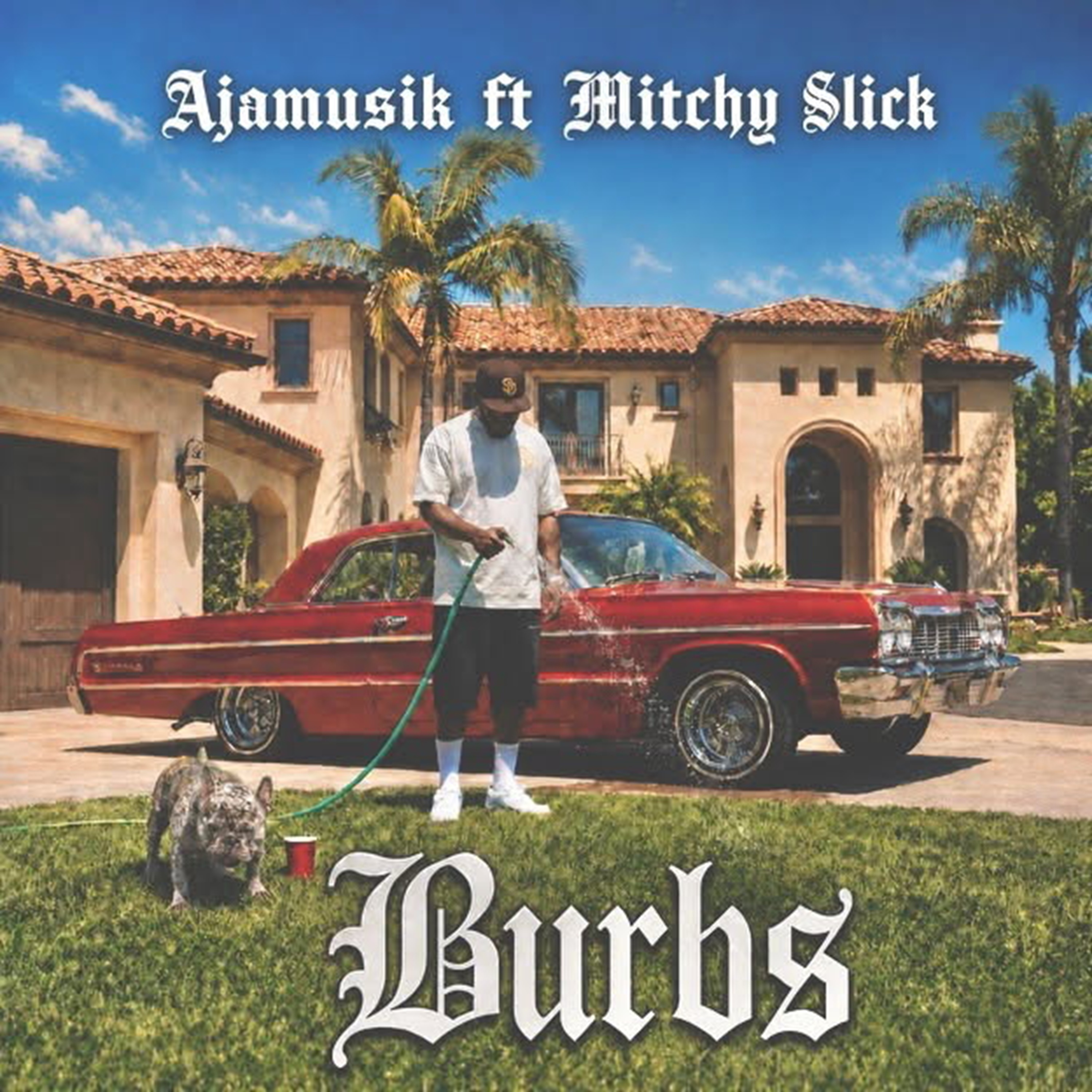 THE BURBS by Trap Dolla cover art