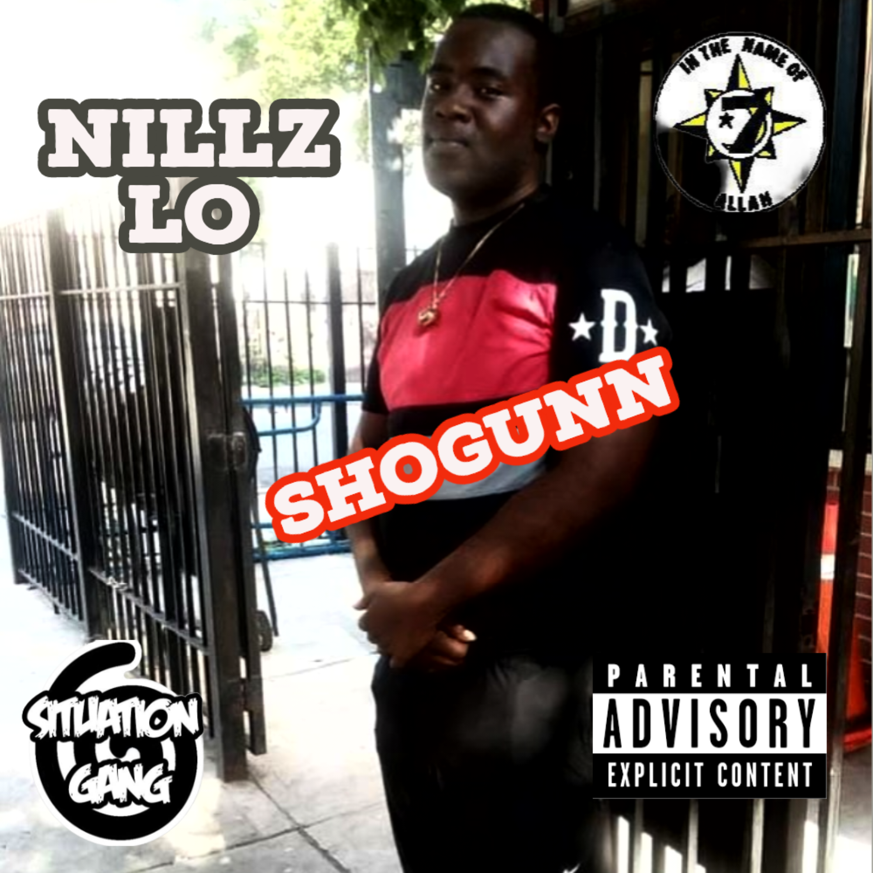 Shogunn artwork