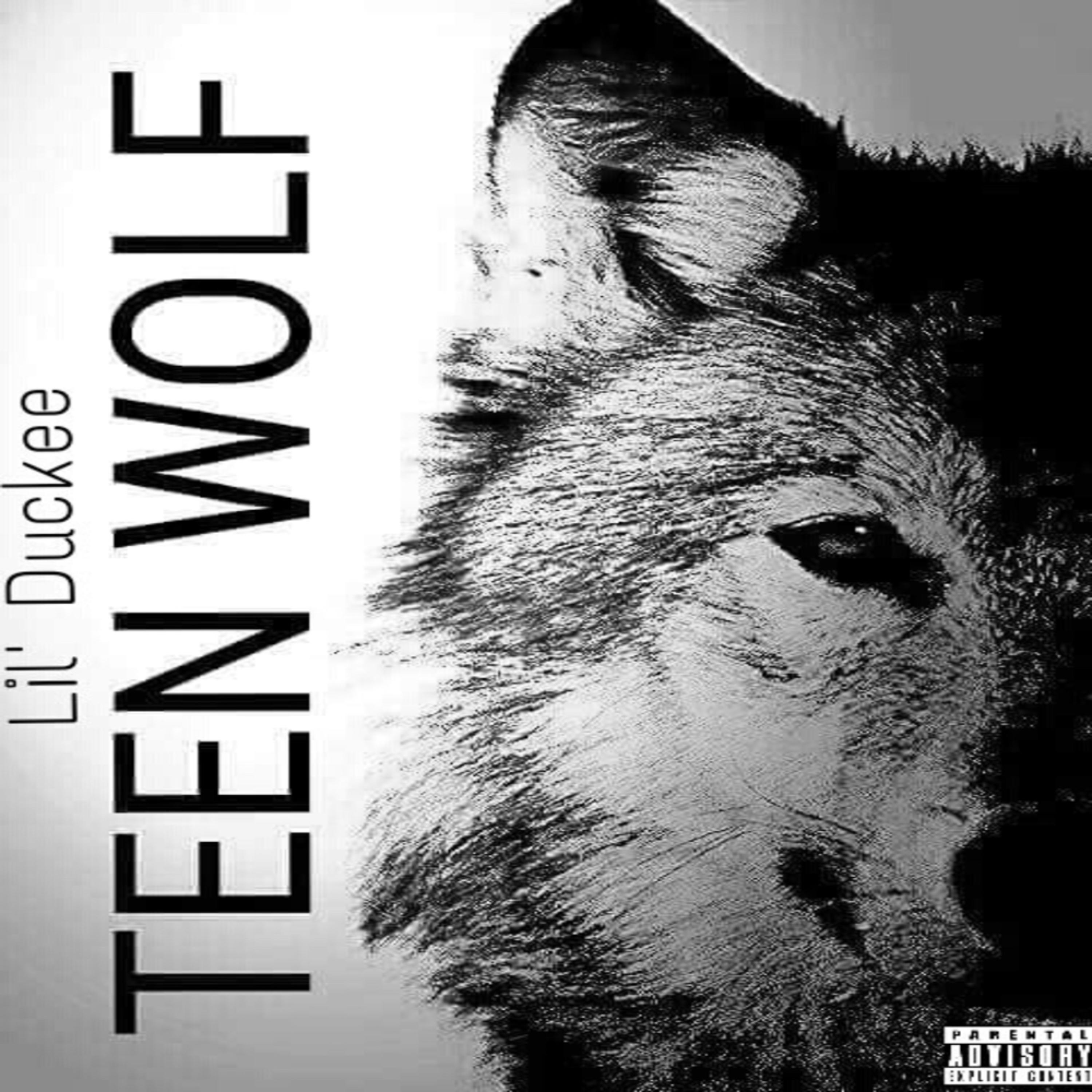 Teen Wolf Freestyle artwork