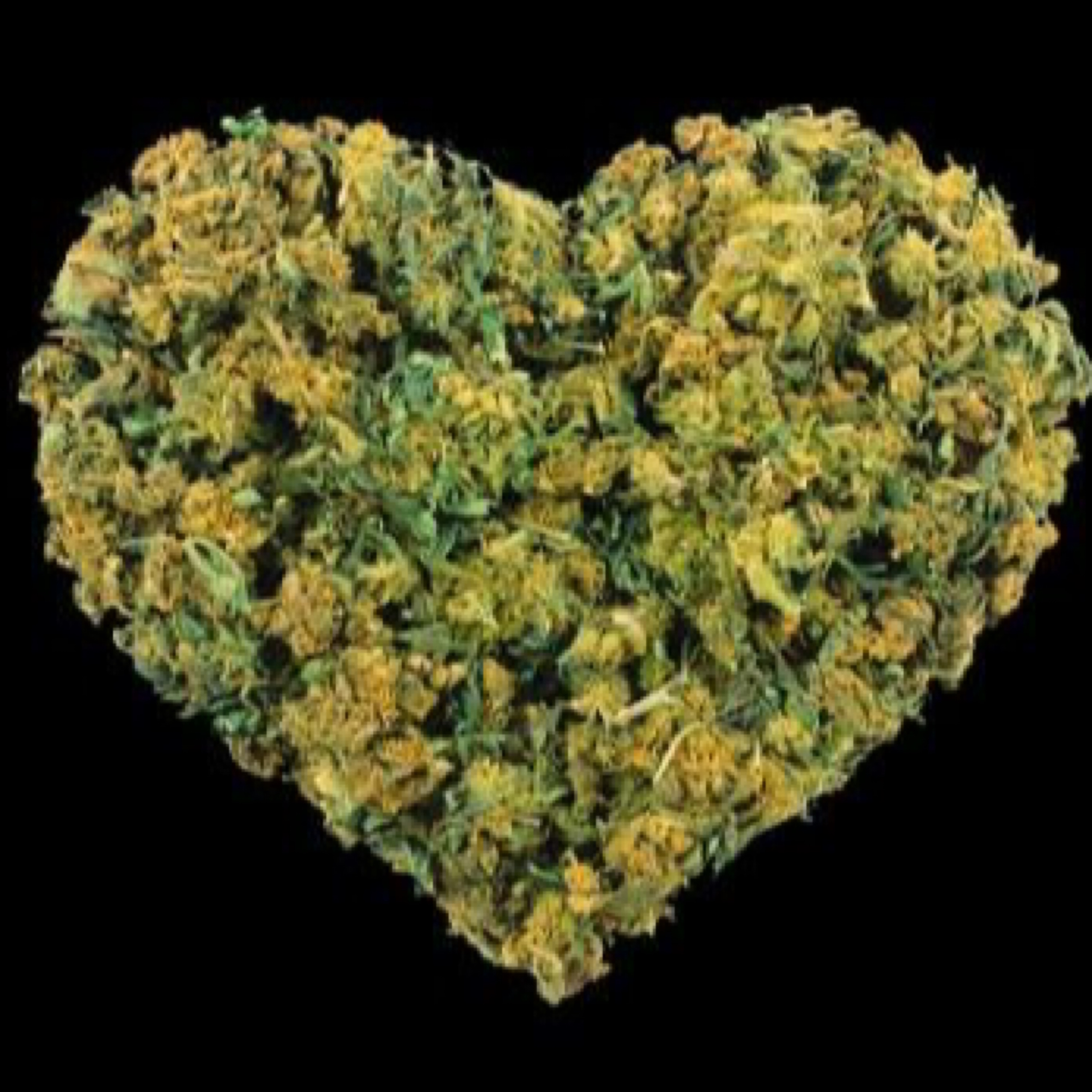 Love Me Faded  artwork