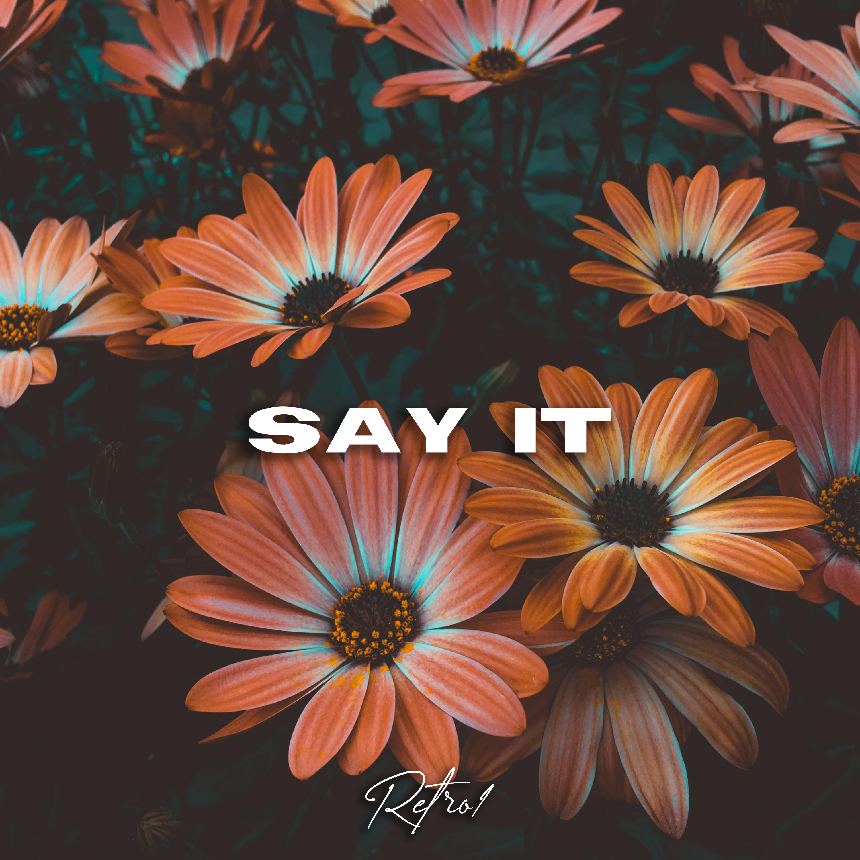 Say It artwork