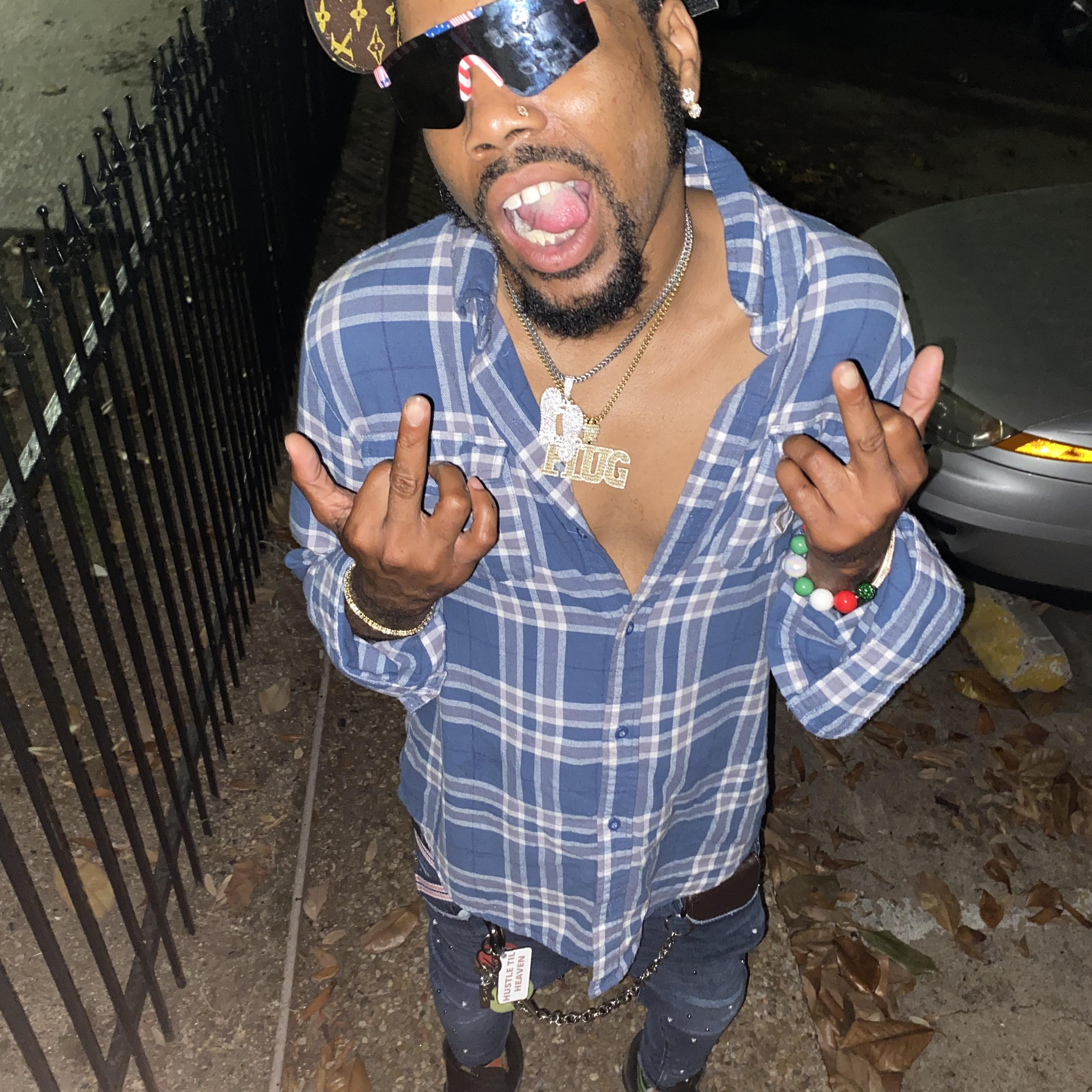 Slide For A Bird artwork