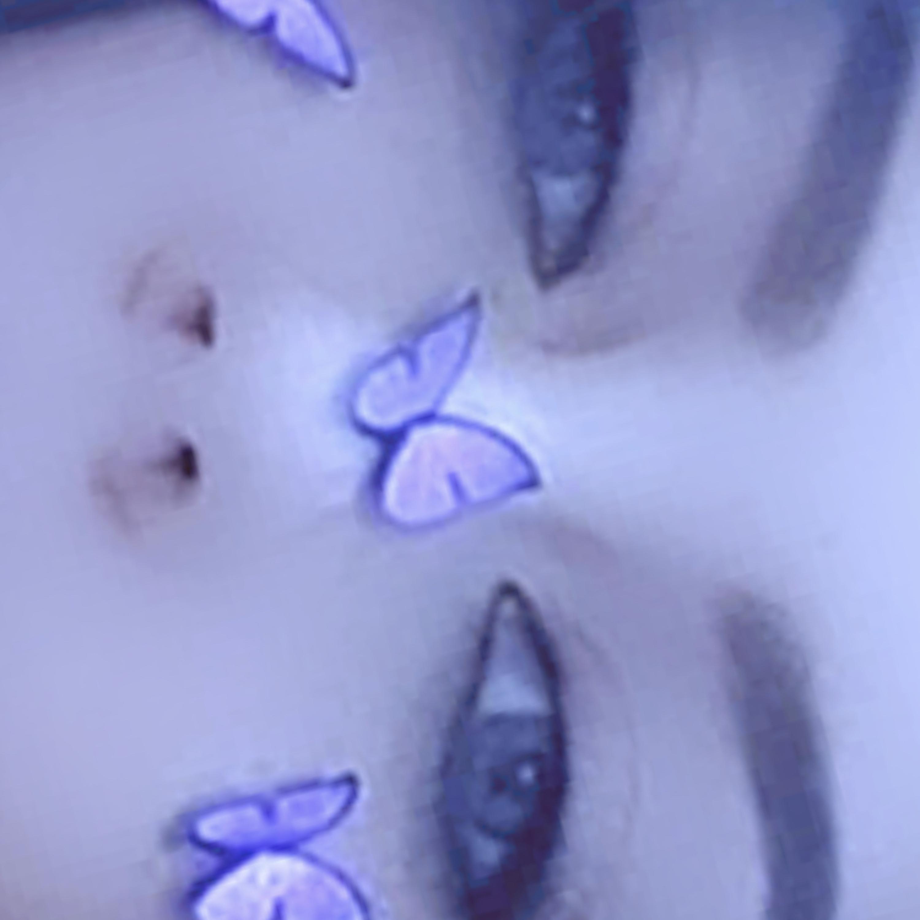 I Don't Write Love Letters artwork