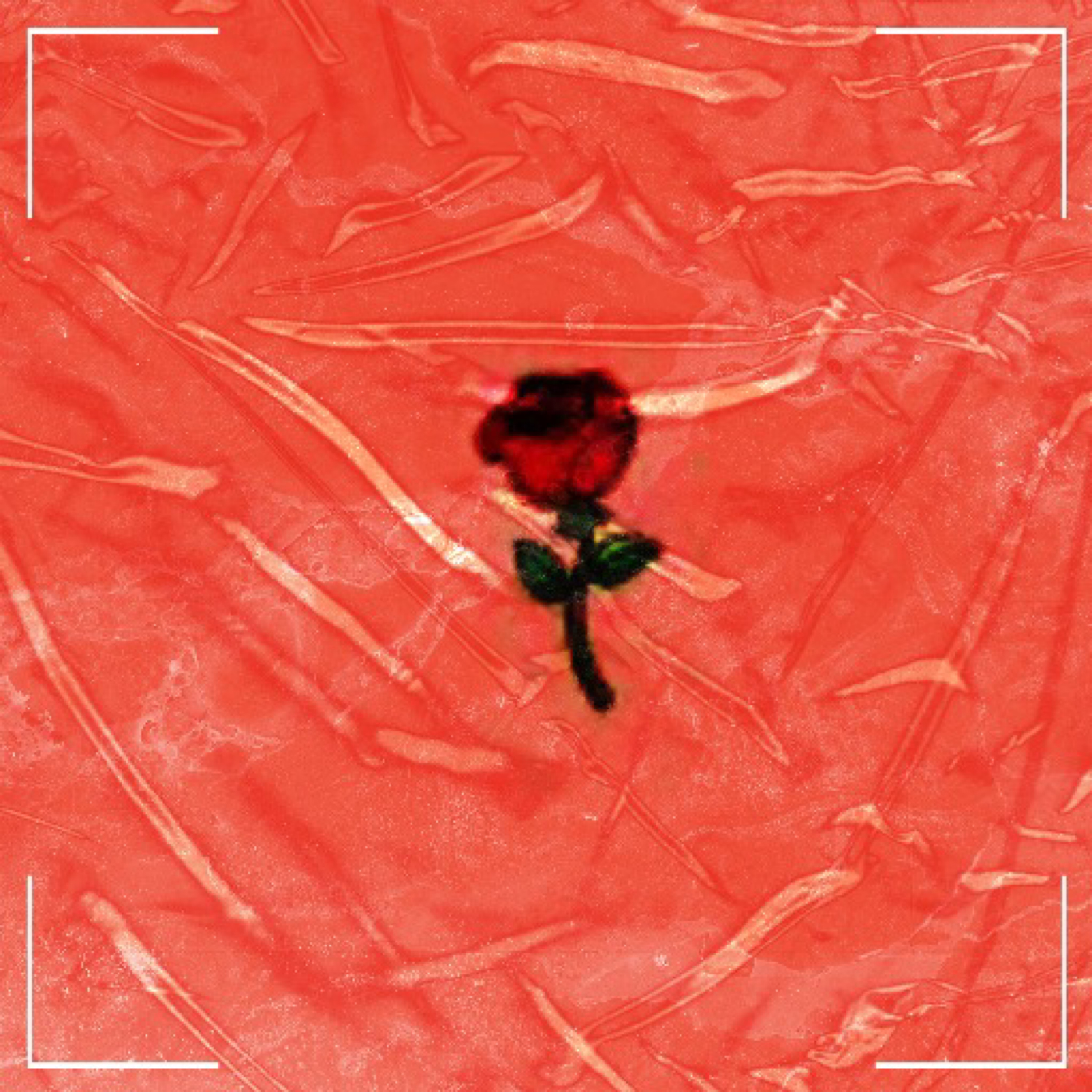Notice Me artwork