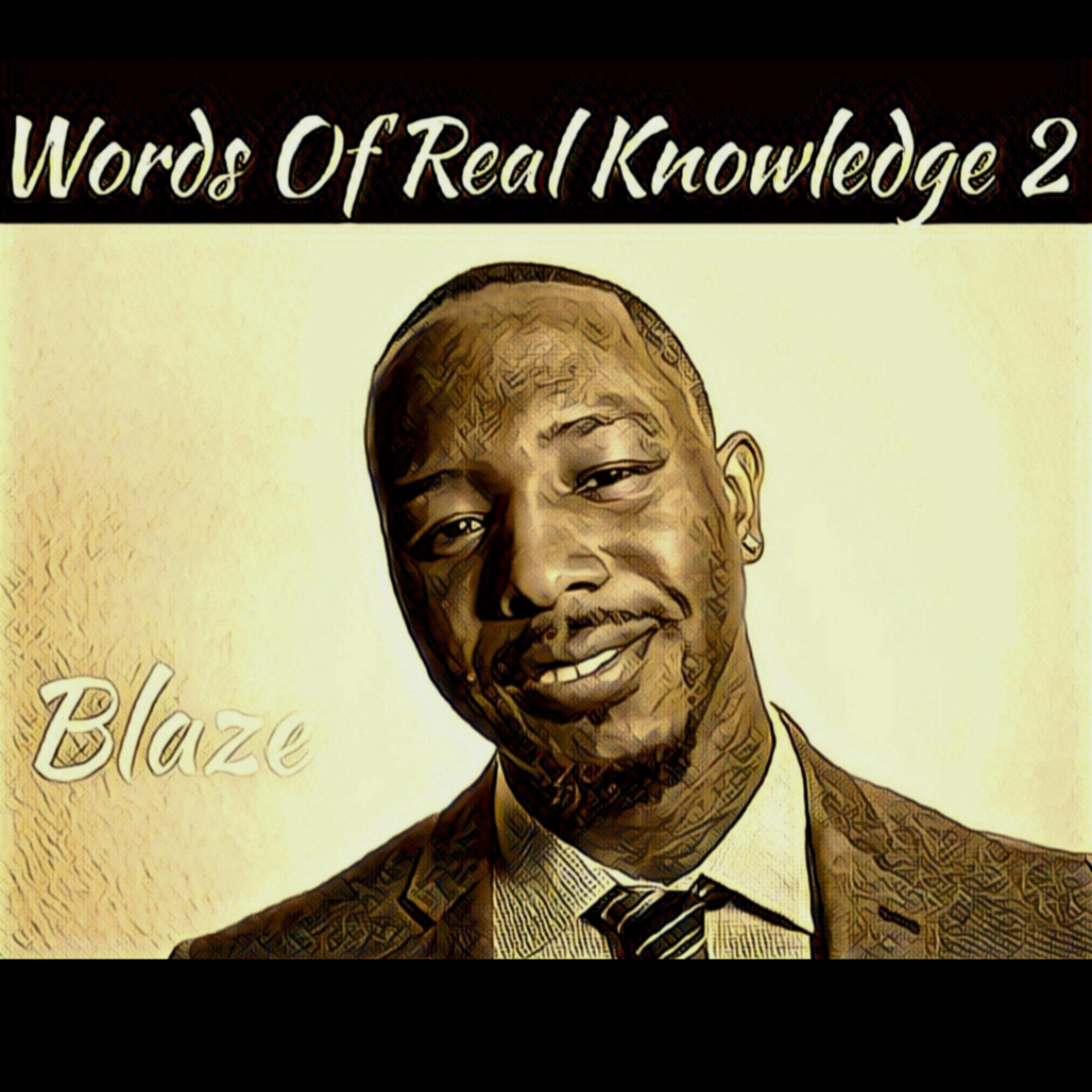 Words Of Real Knowledge 2 artwork