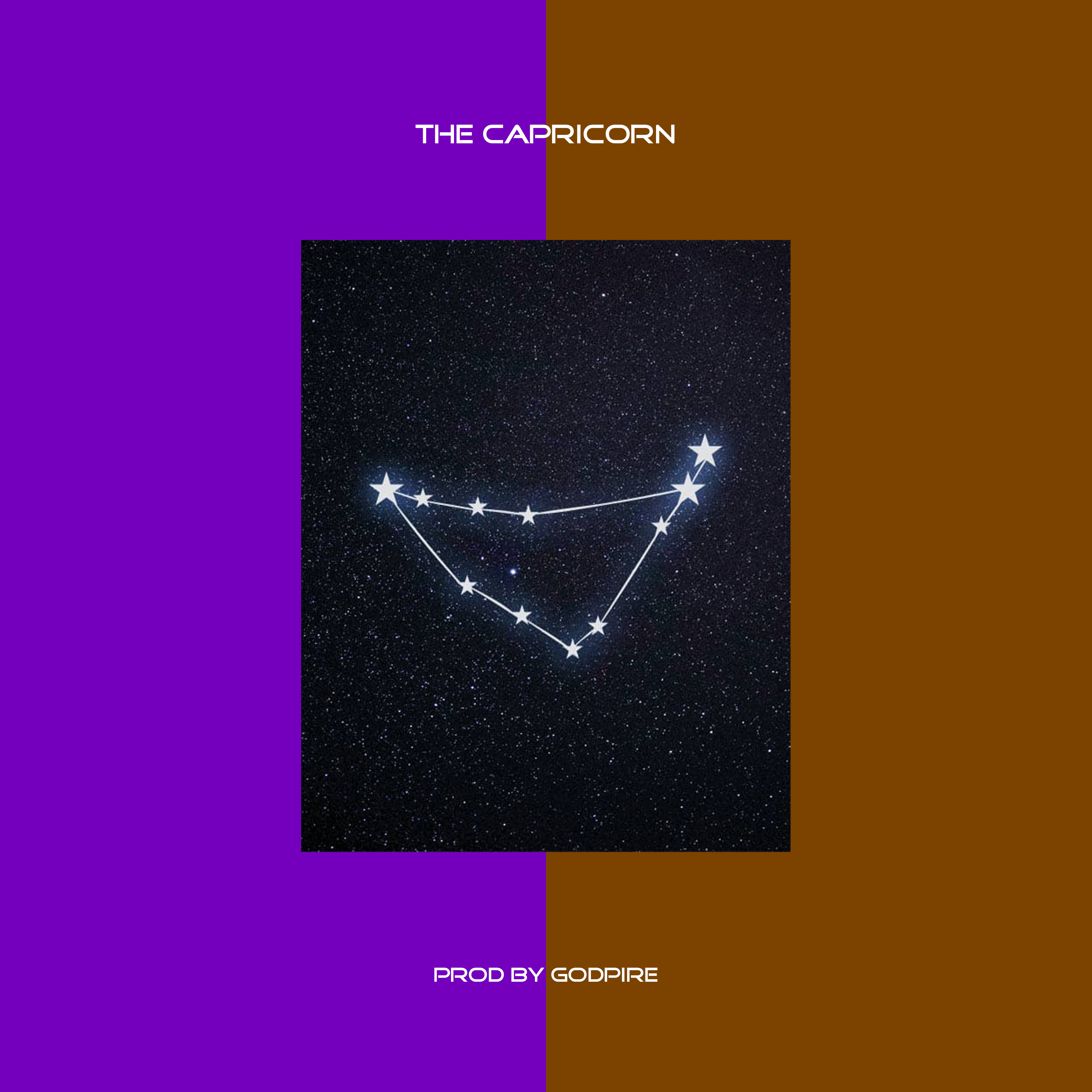 THE CAPRICORN by Ra Matthews cover art