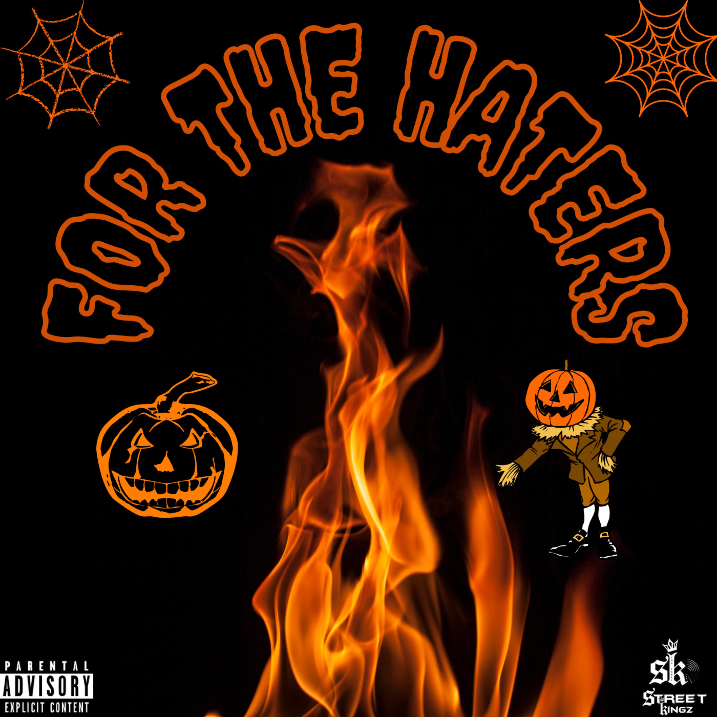 For The Haters artwork