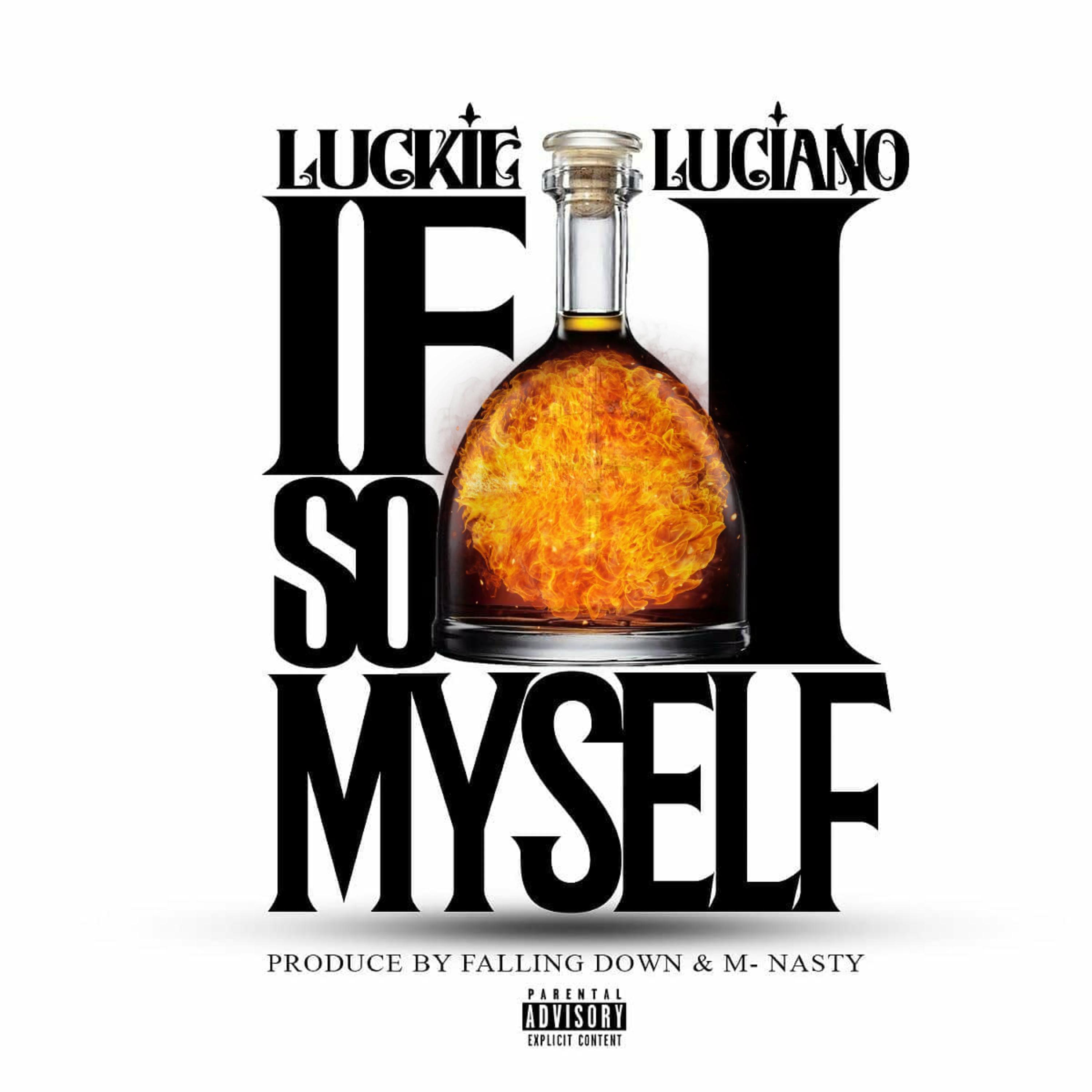 If I dusse so myself artwork