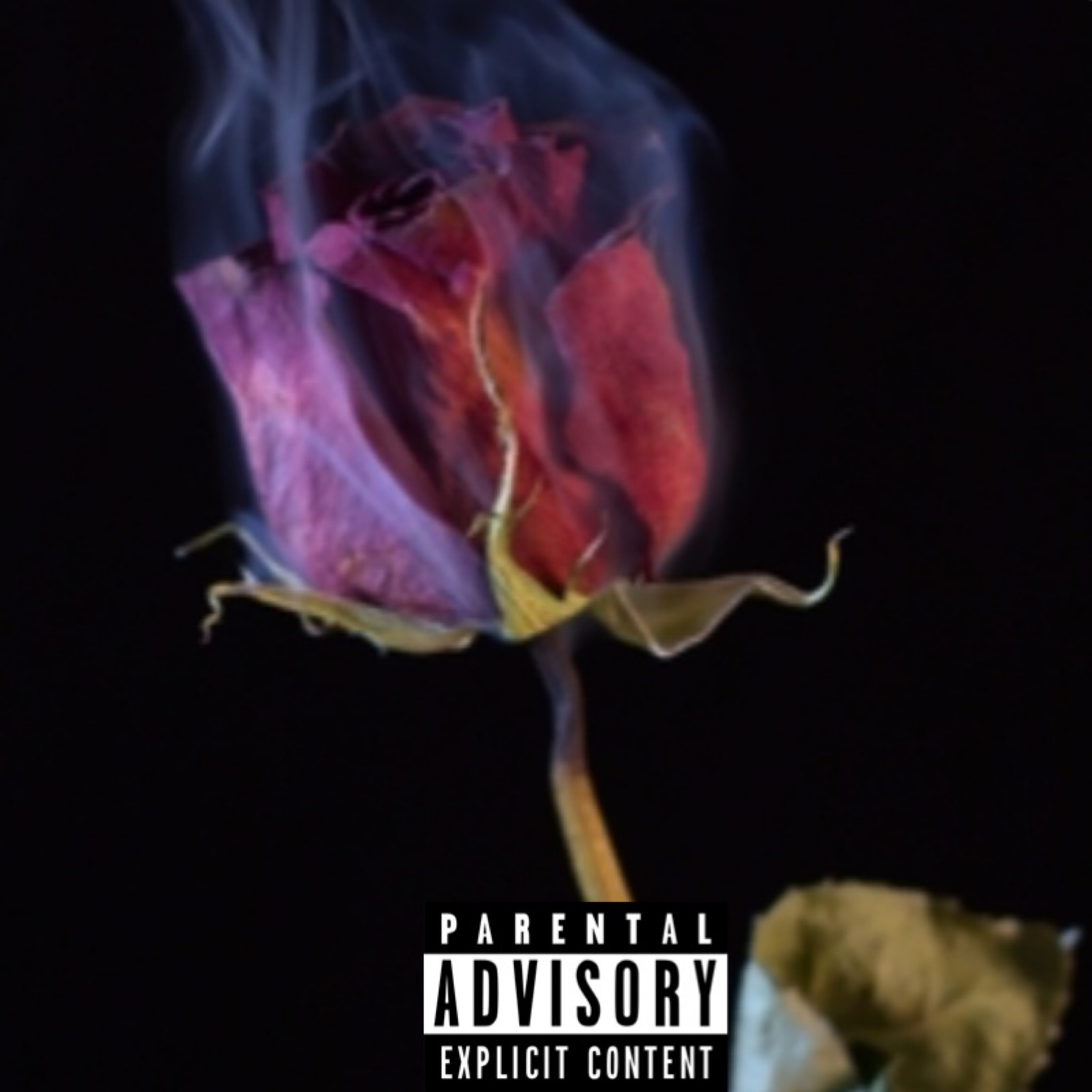 Solitude artwork