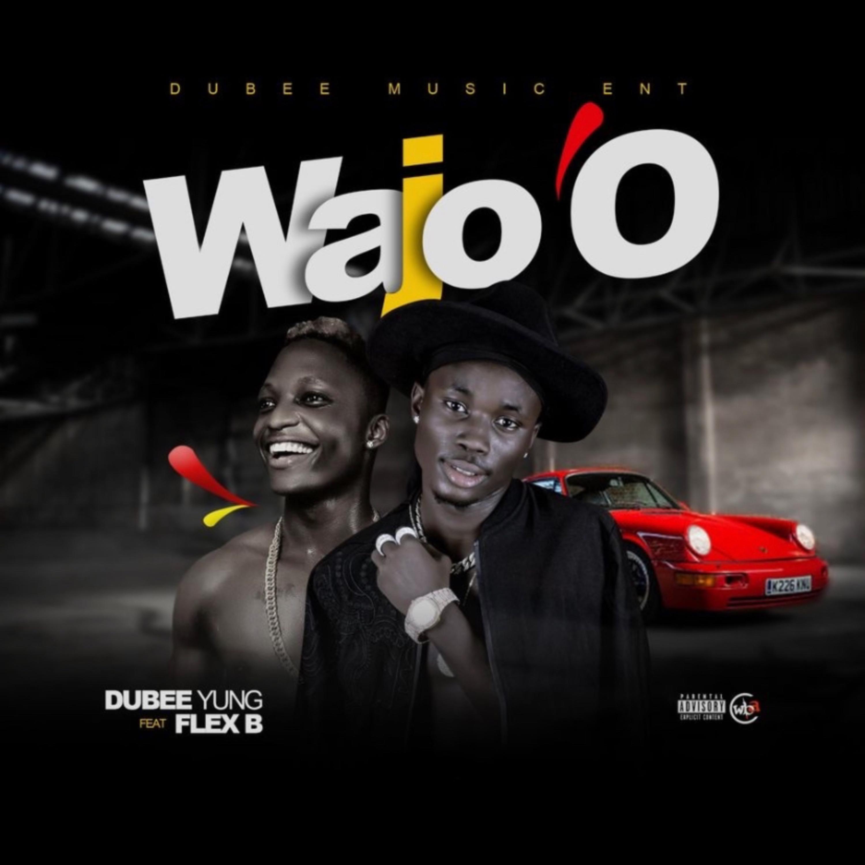 Wajo O artwork