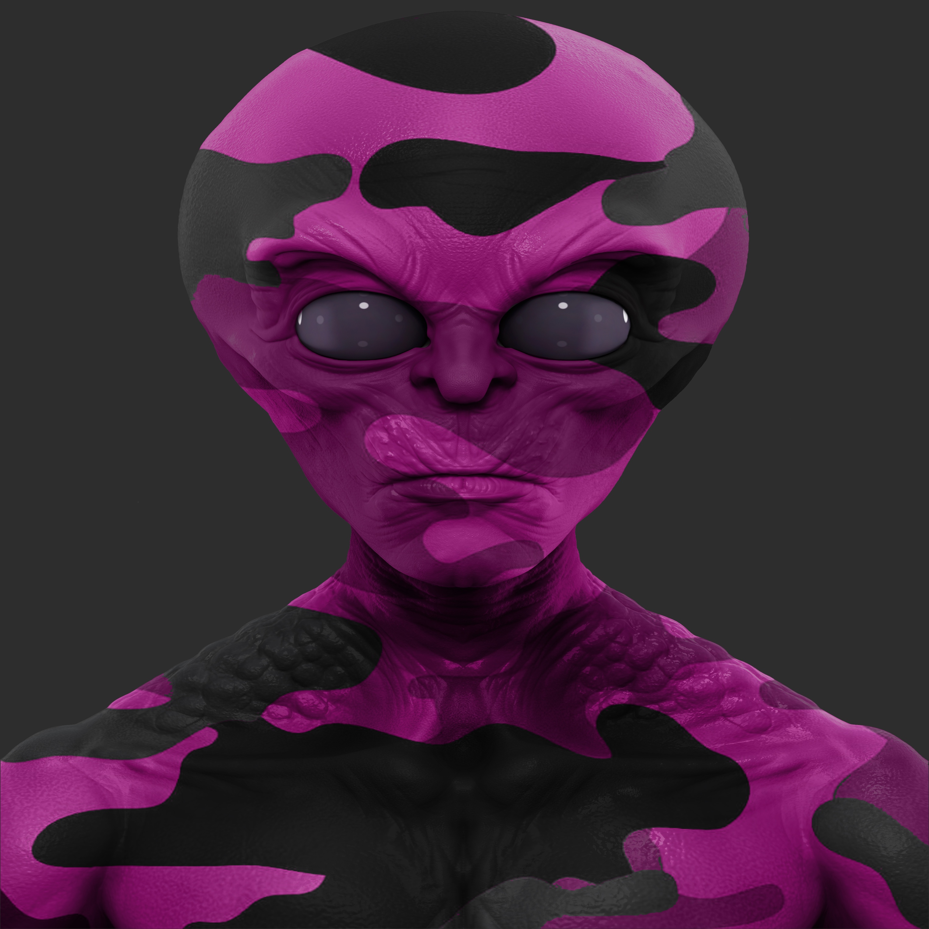 Nina artwork