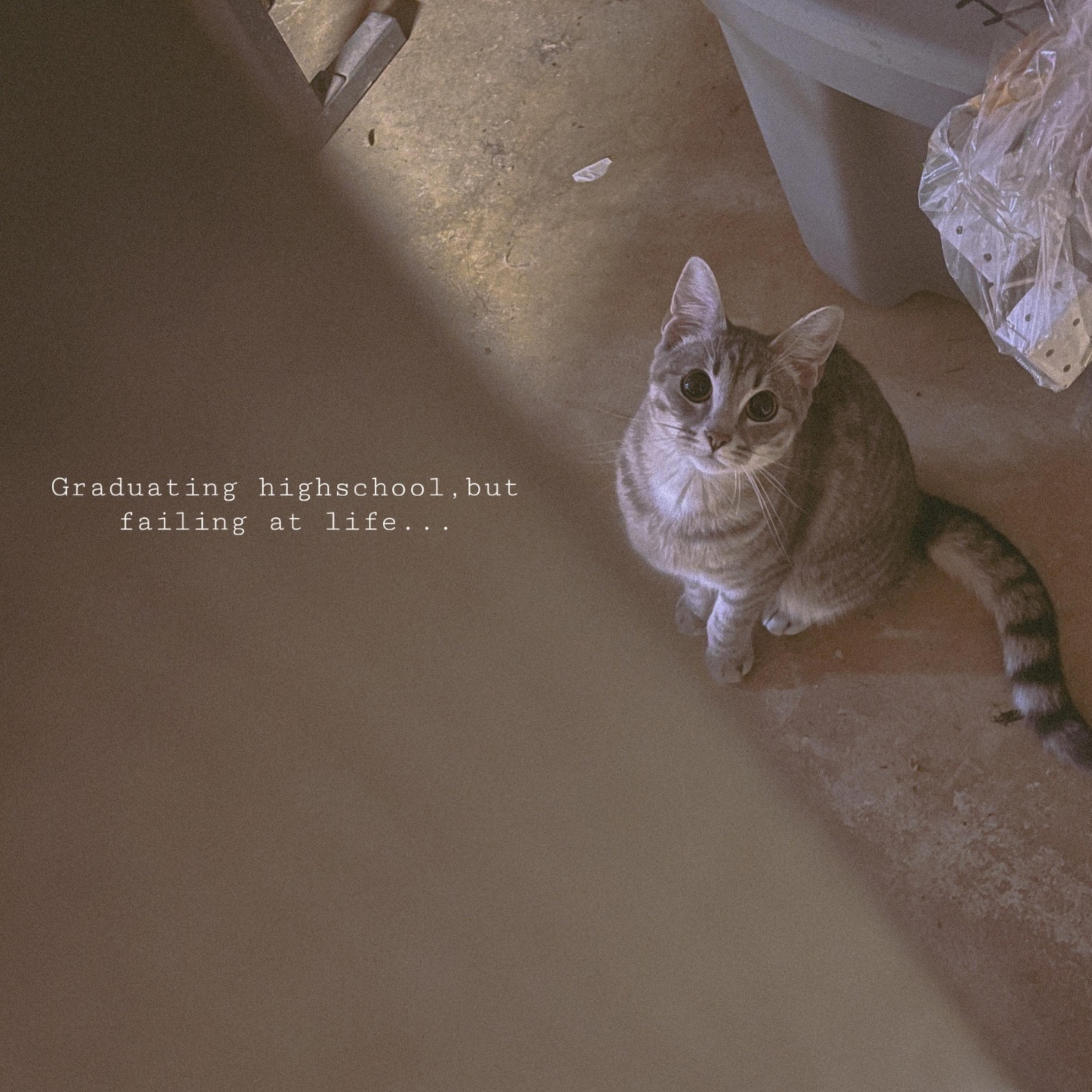 Graduating High School But Failing At Life… by MISSEDCALLS! cover art