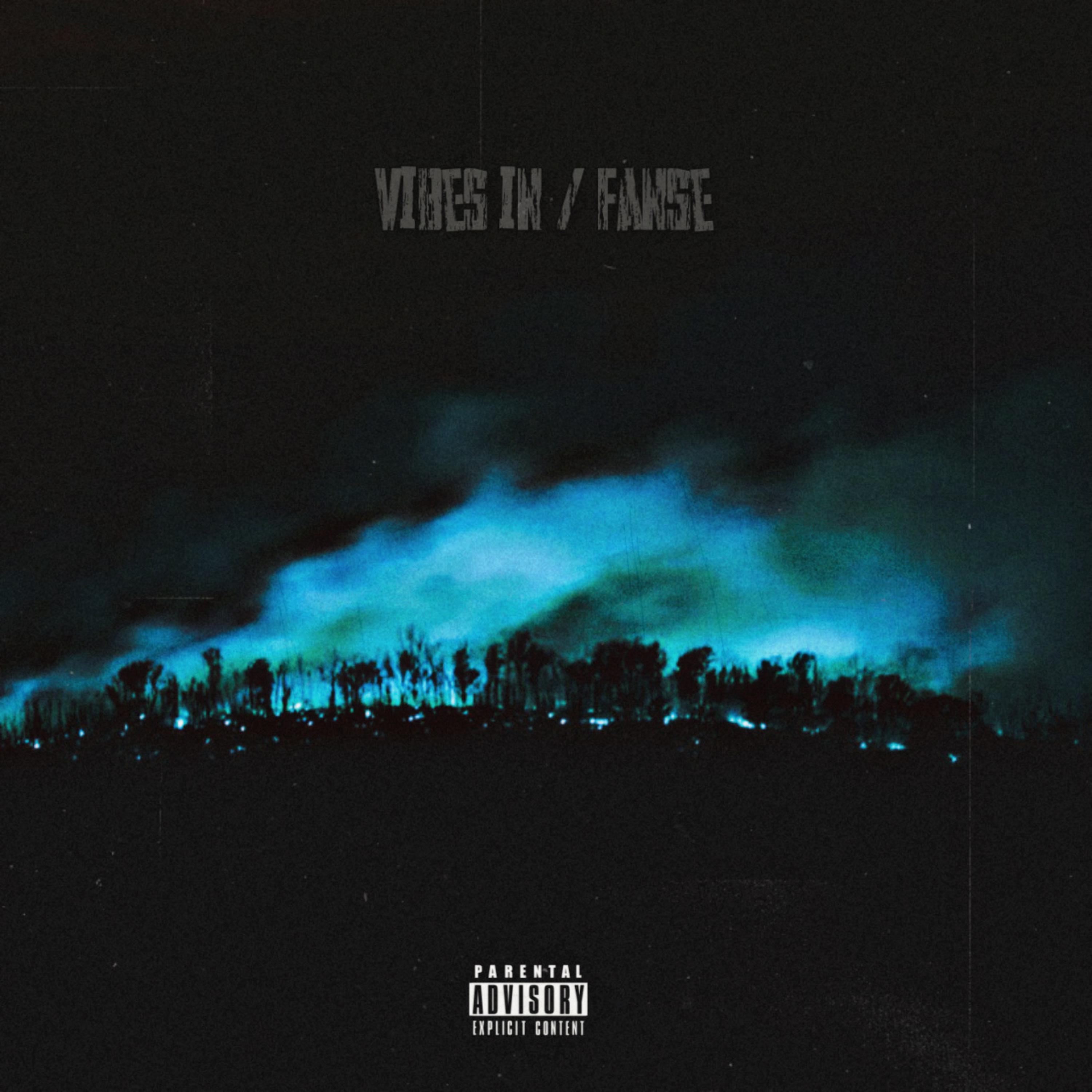 Vibes In / FANSE artwork