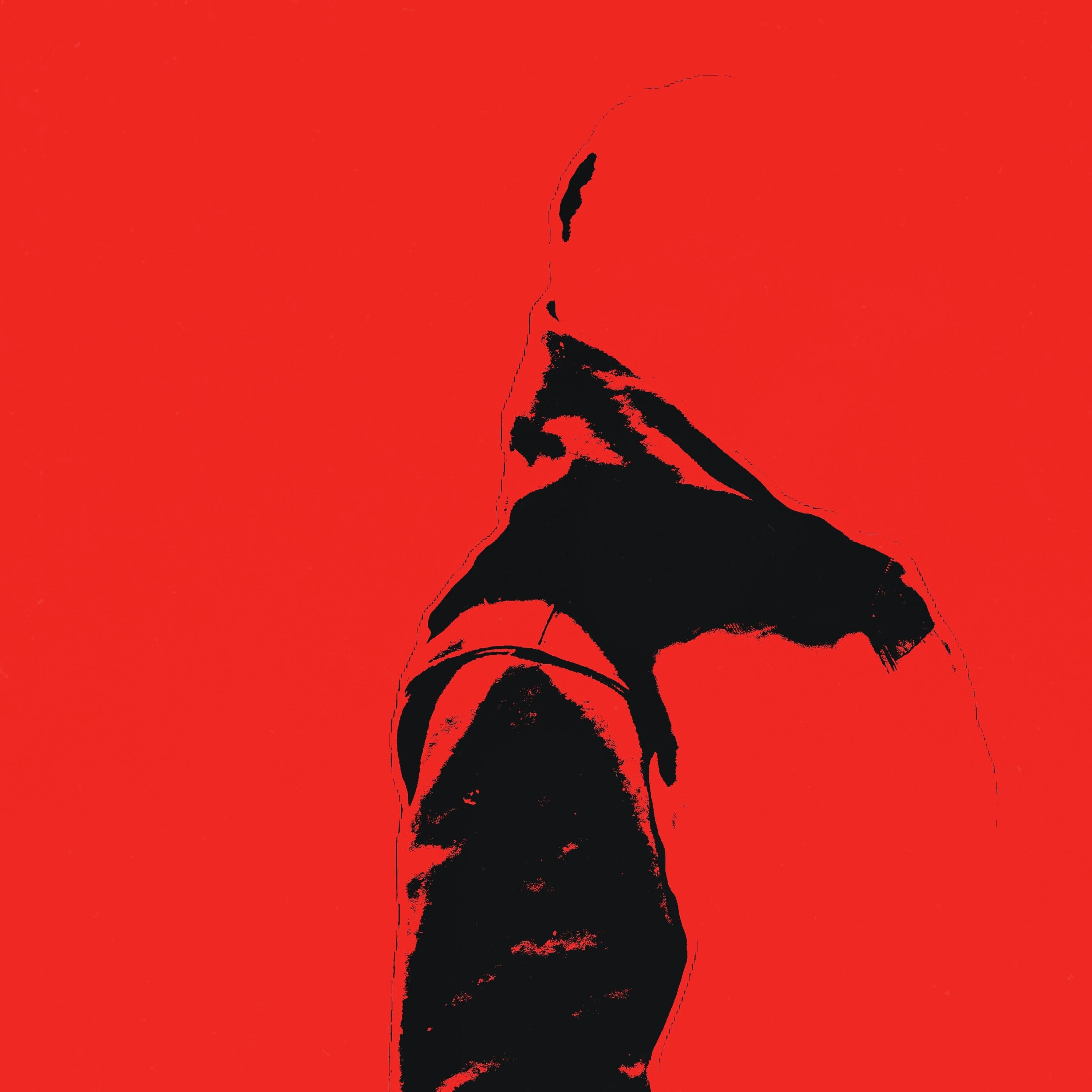 Trillogy artwork