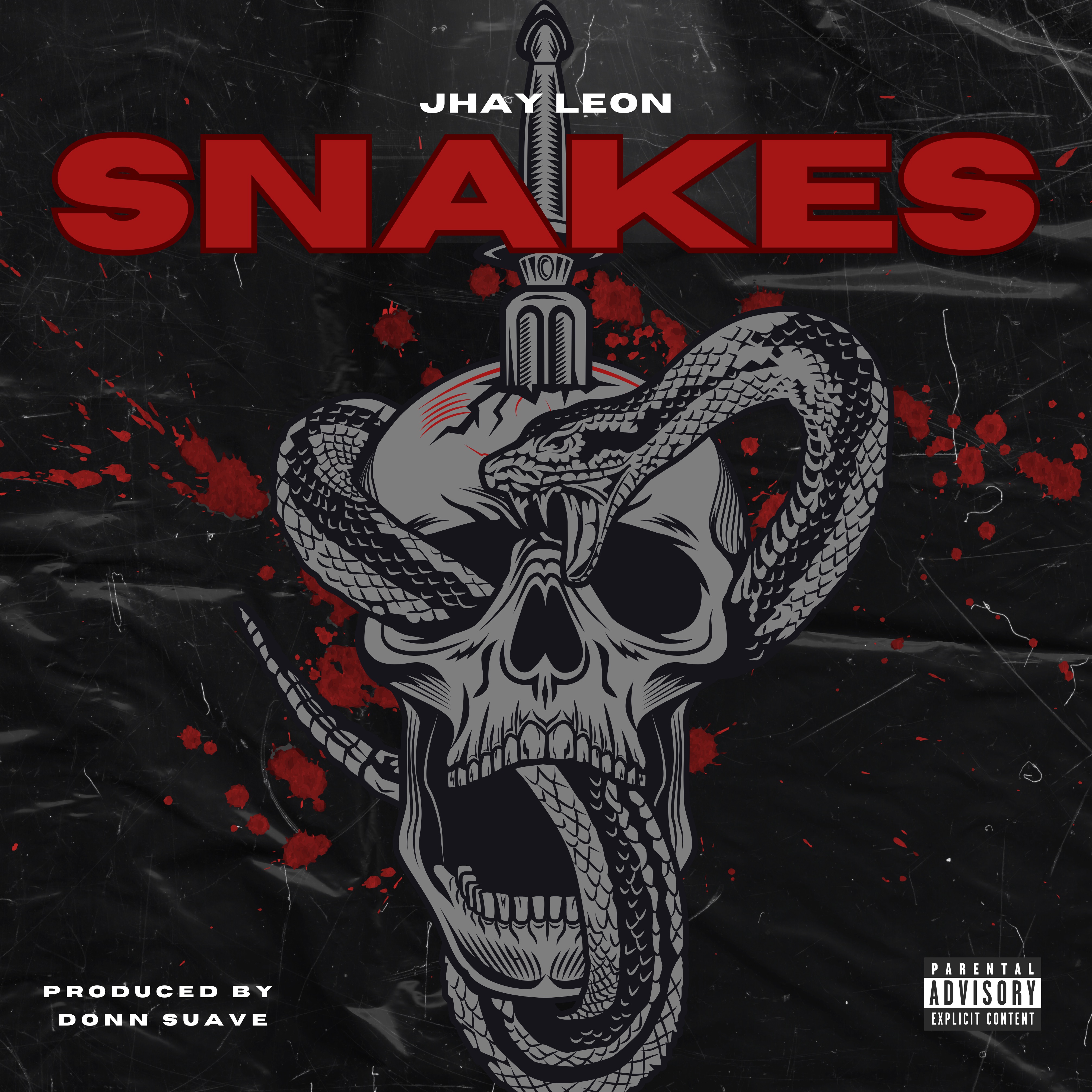 SNAKES artwork