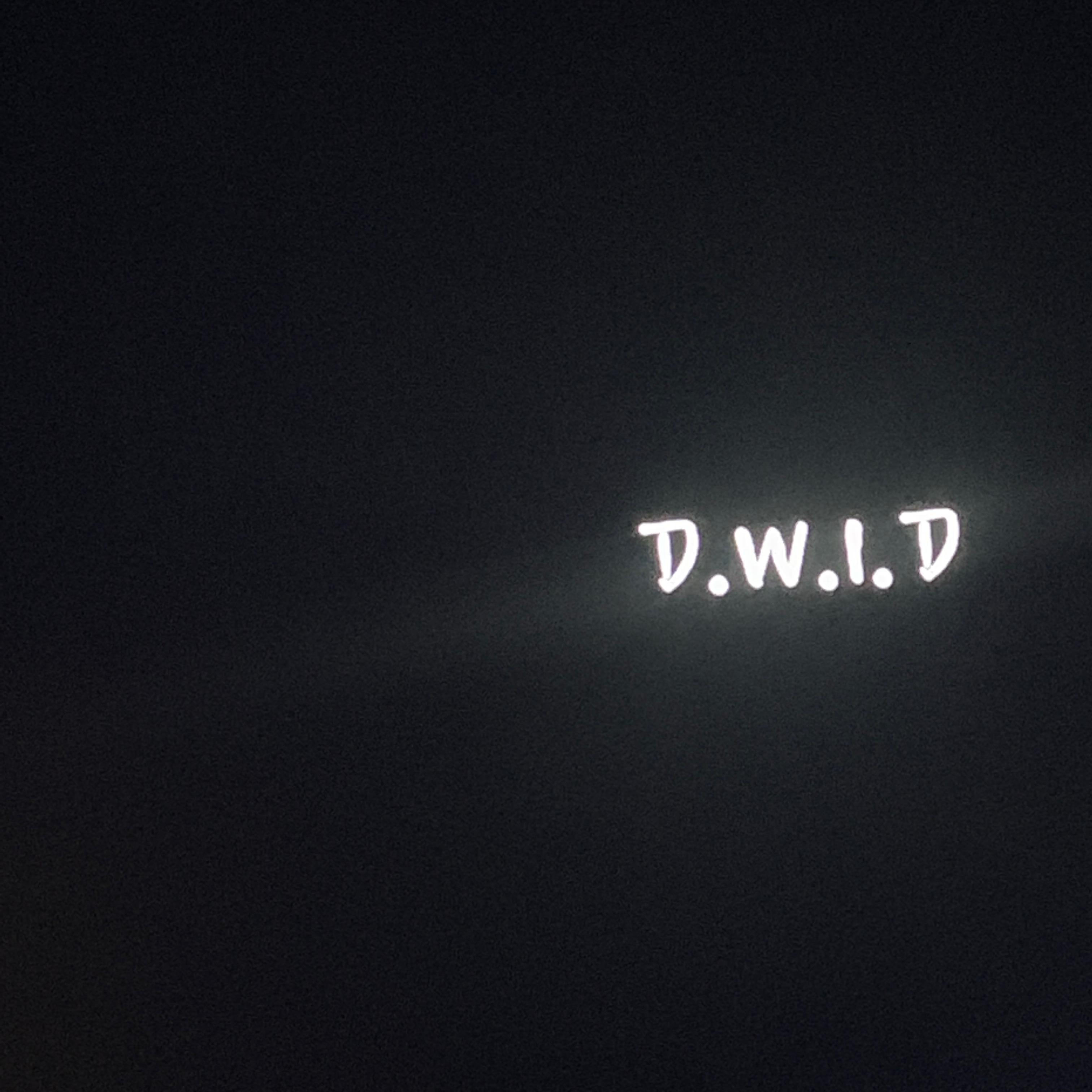 D.W.I.D artwork