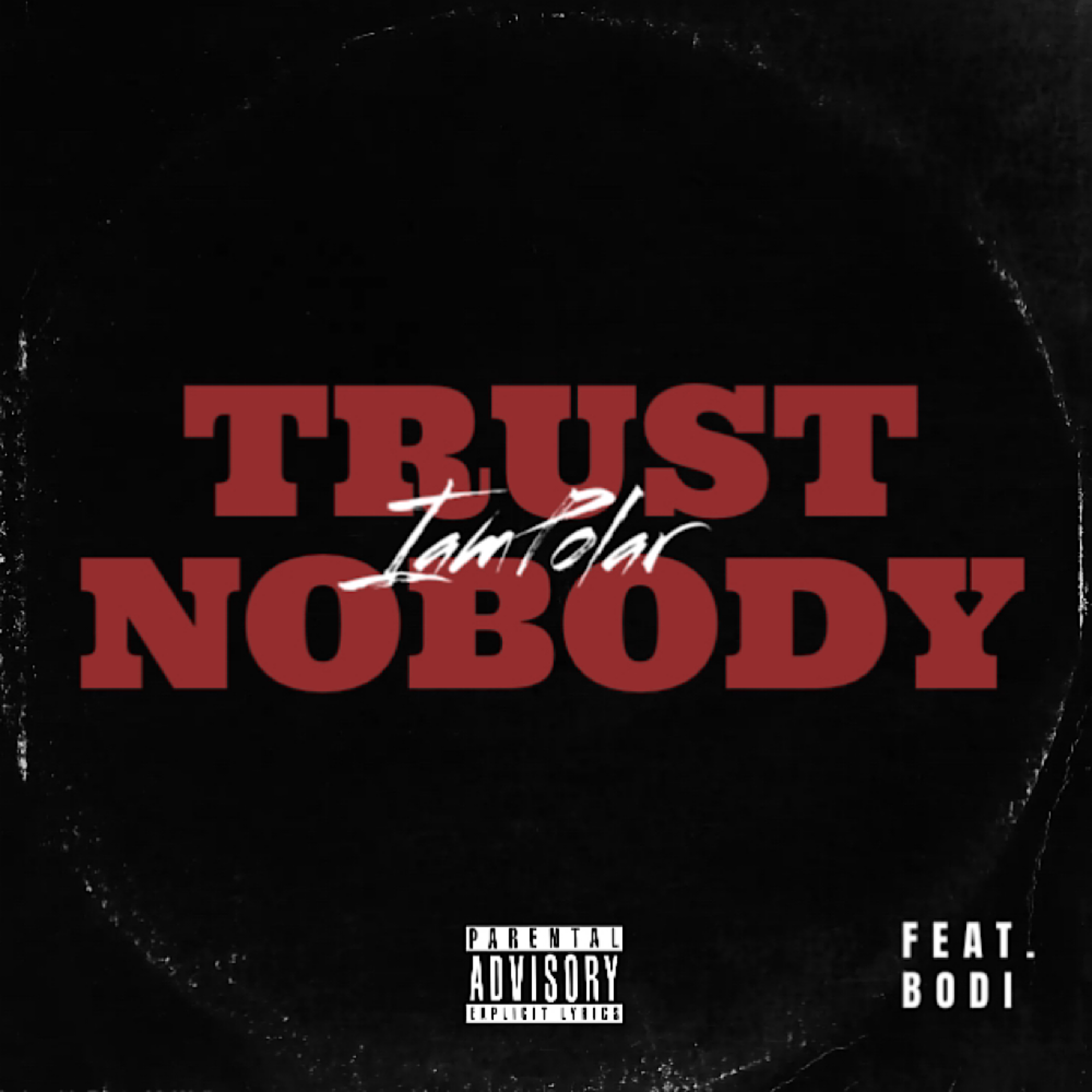 Trust Nobody artwork