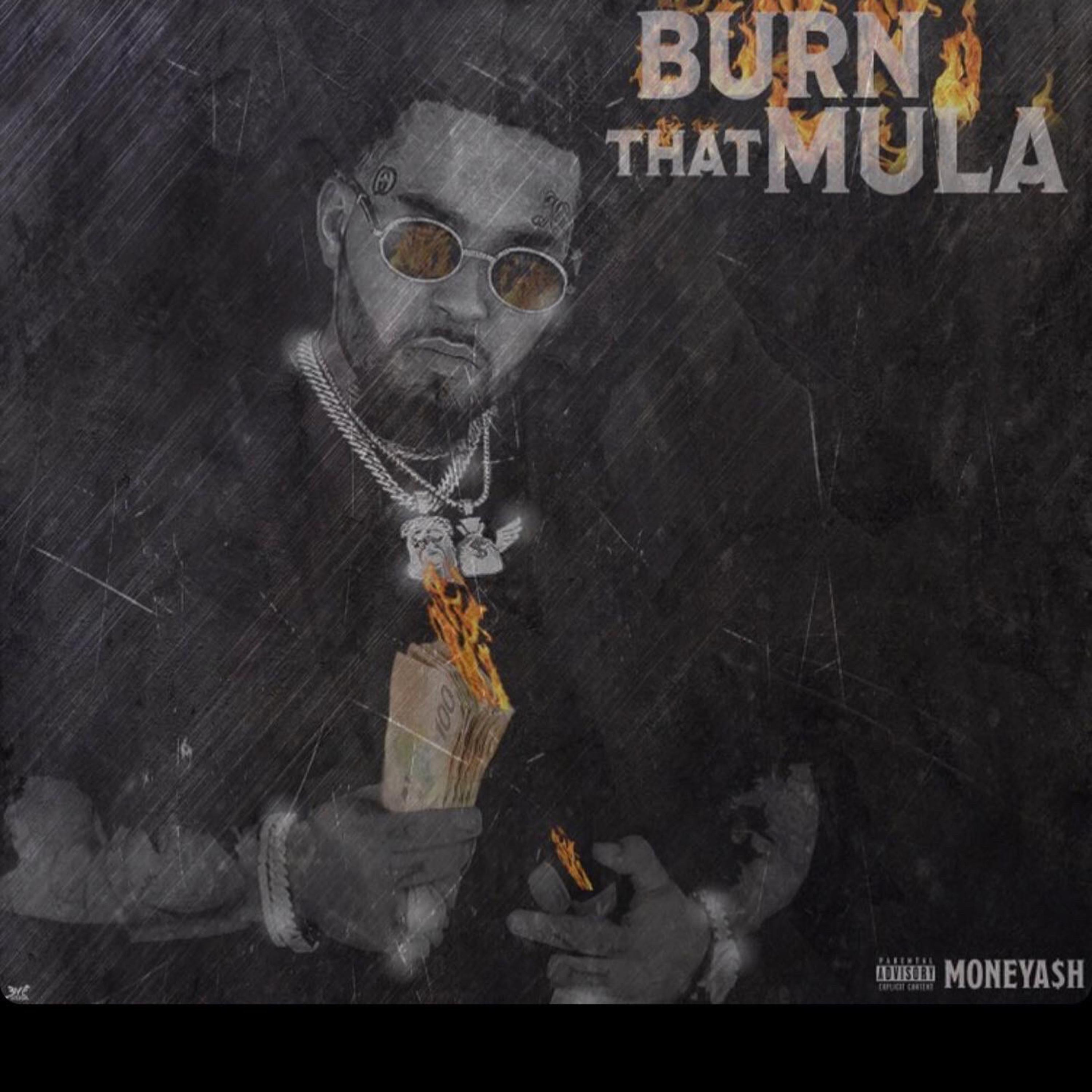 Burn That Mula by MONEYA$H cover art
