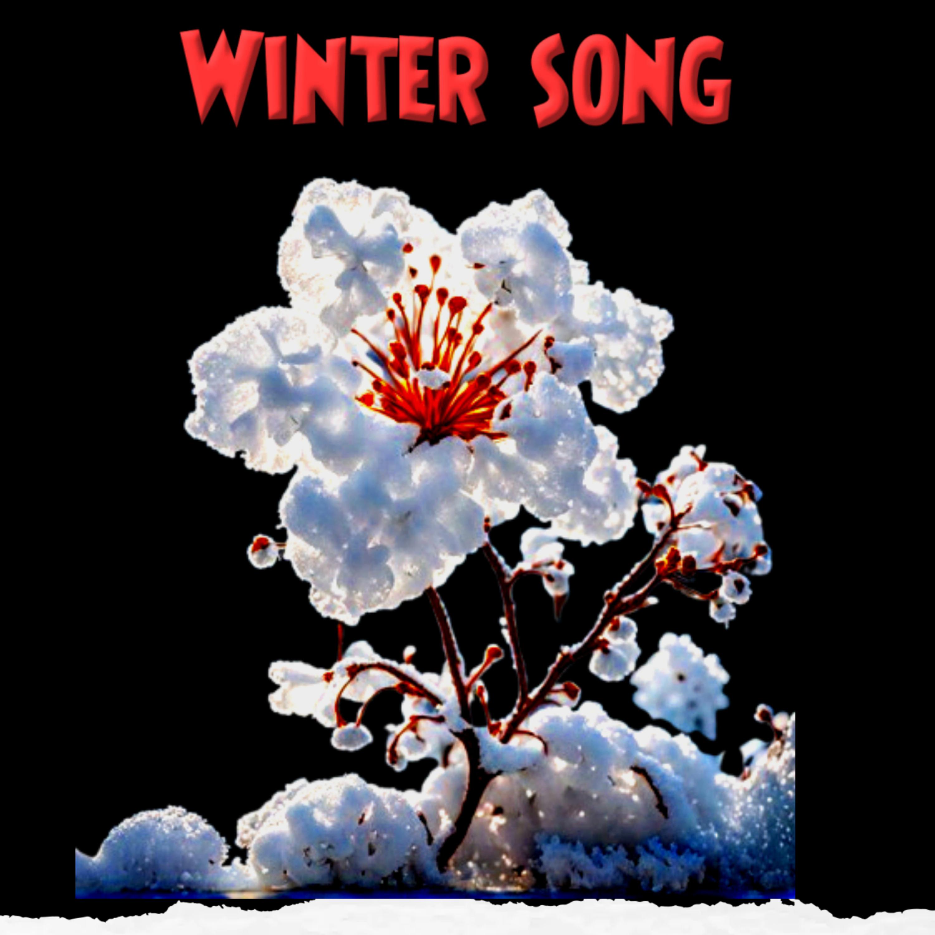 Winter song artwork