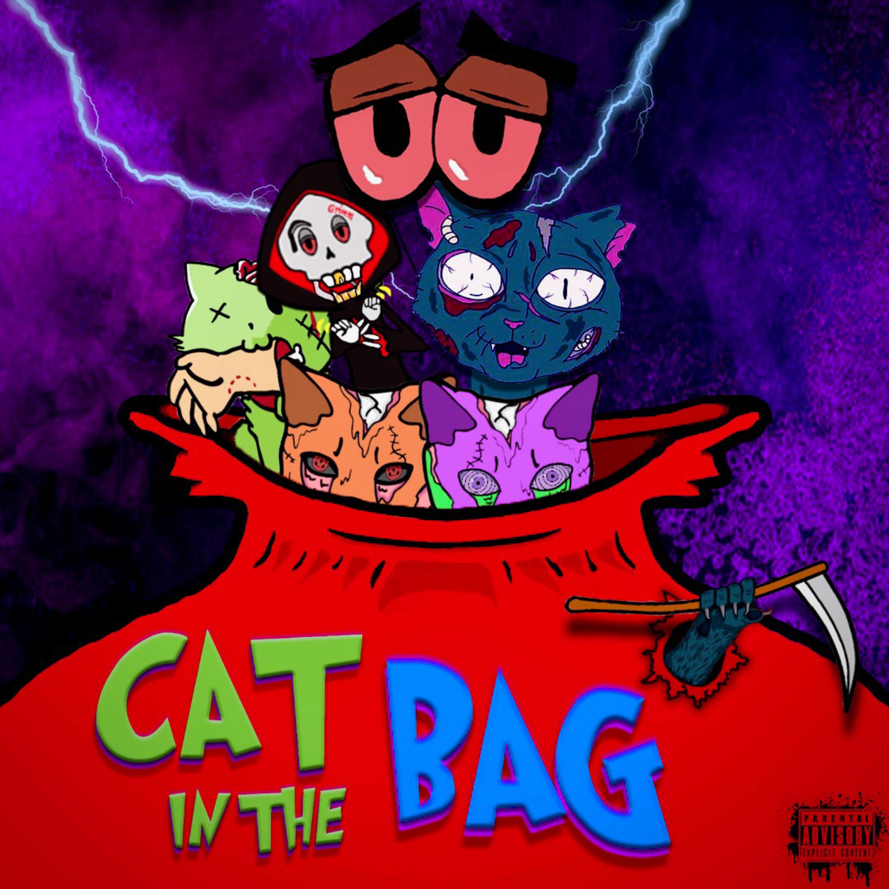 Cat In The Bag artwork