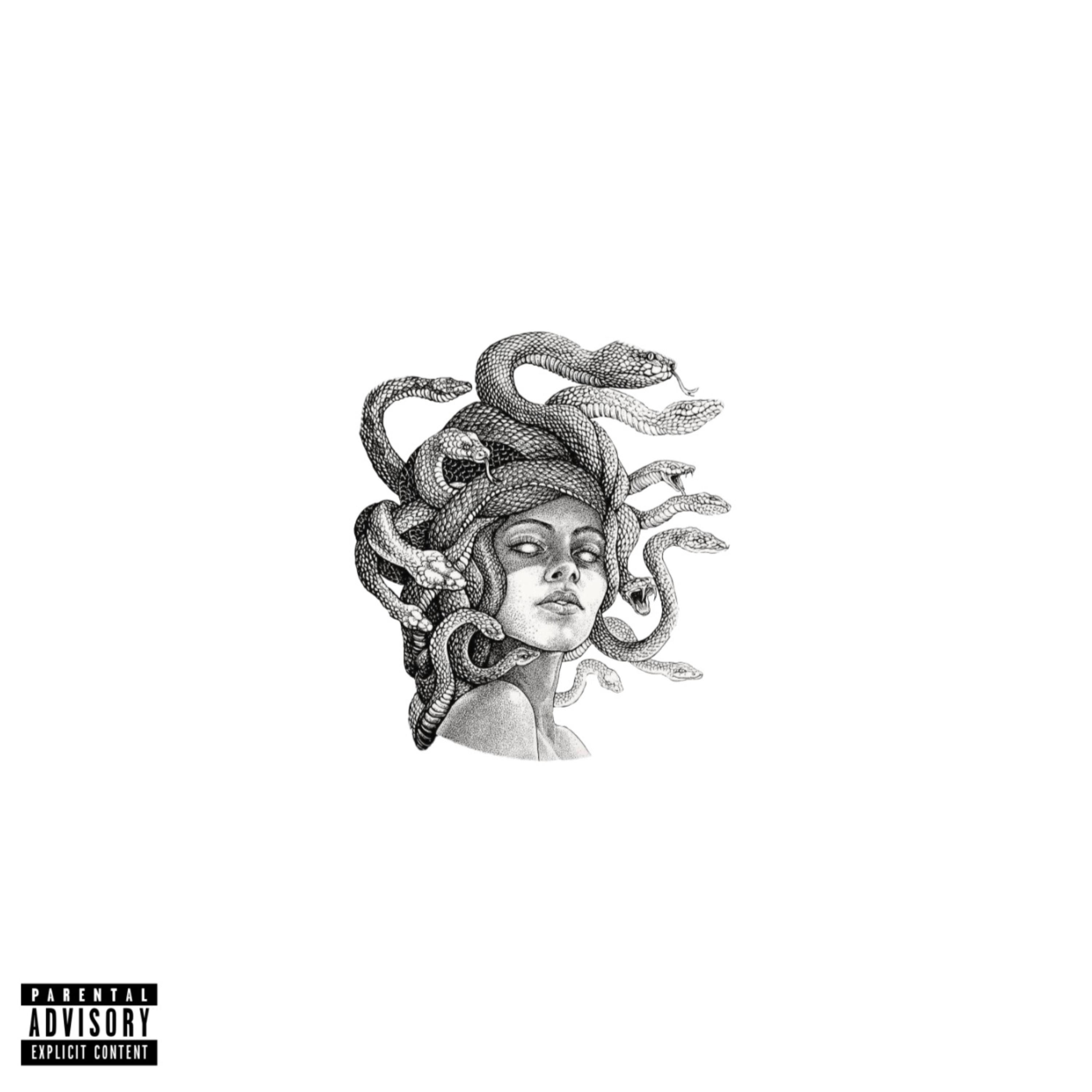 Serpent artwork