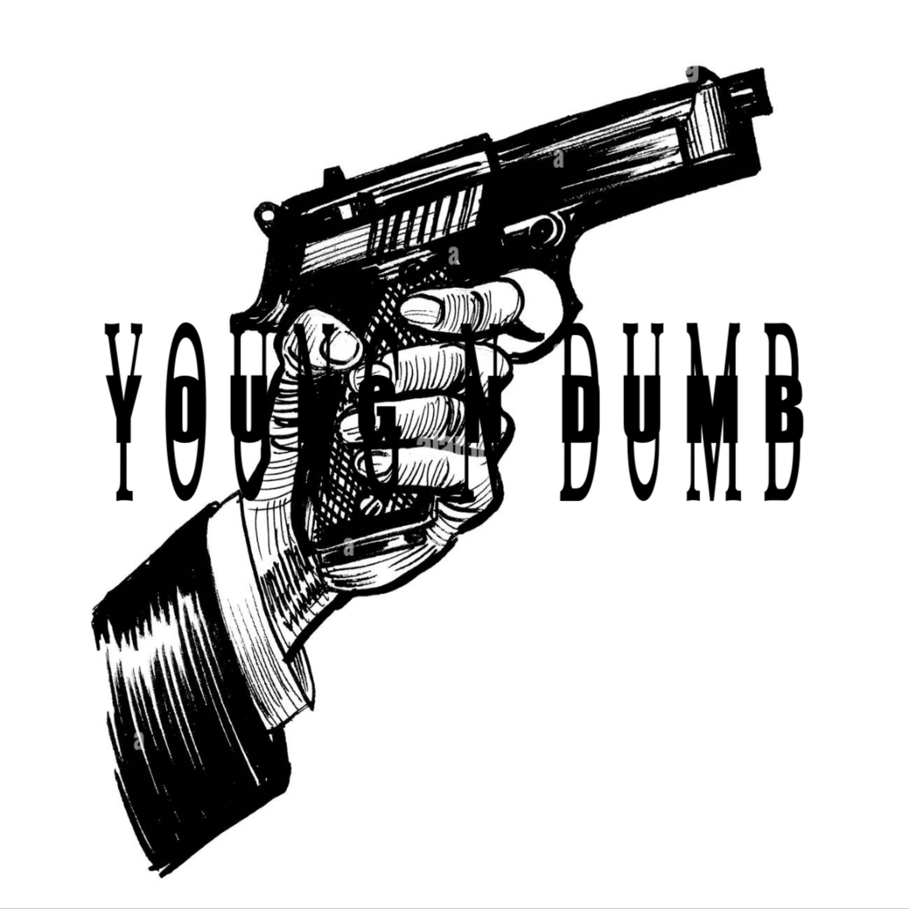 Young N Dumb artwork
