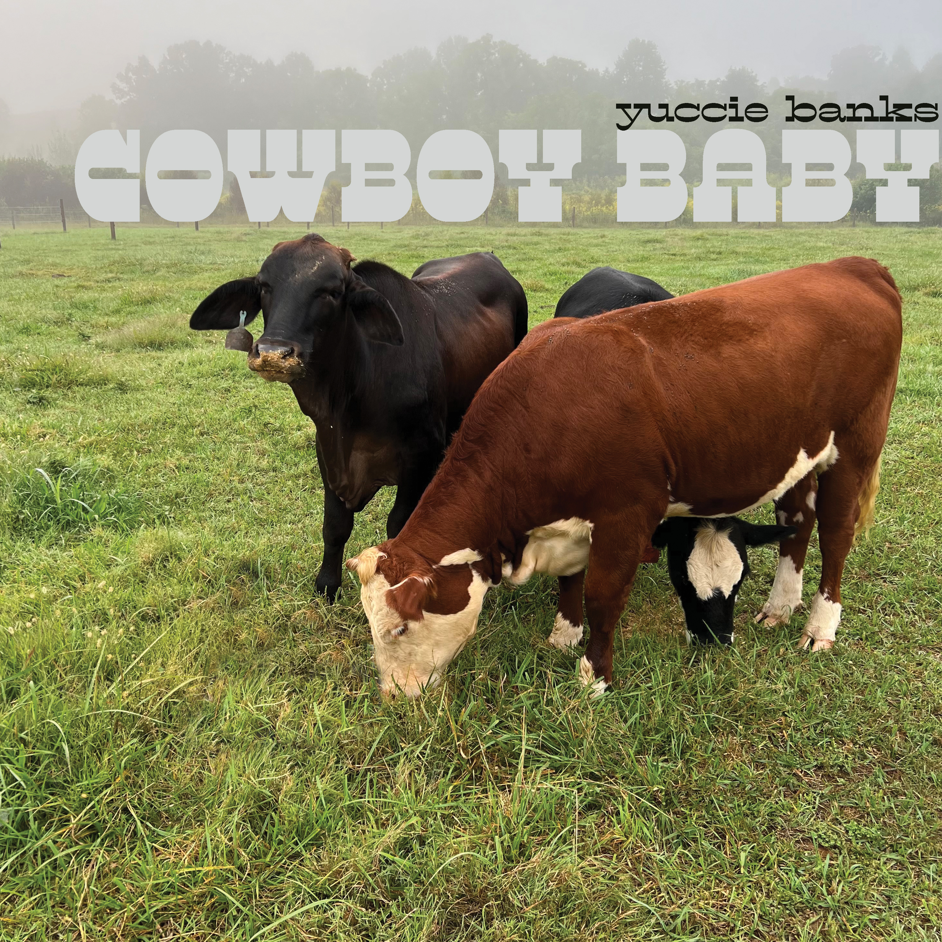 CowBoy Baby artwork