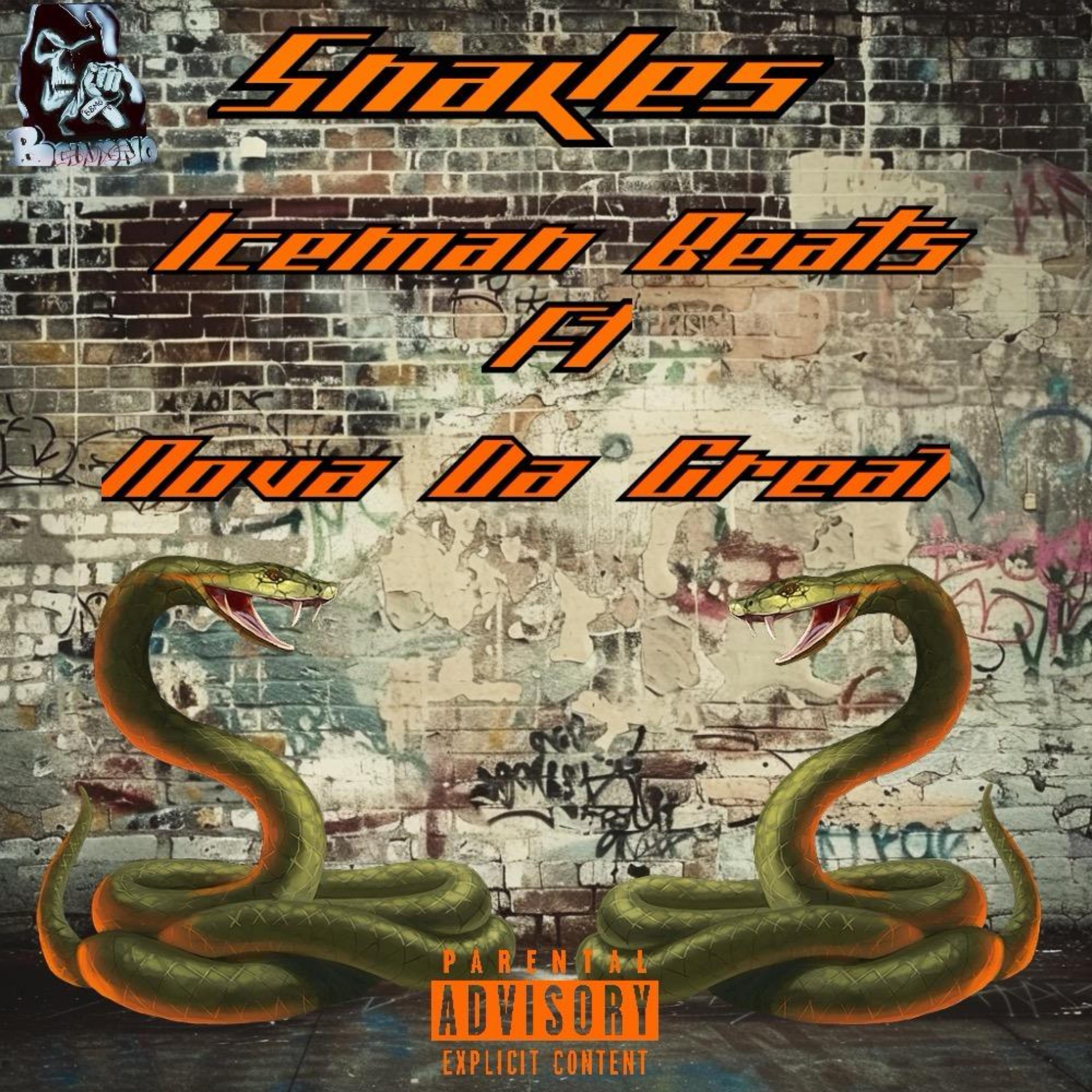 Snakes artwork