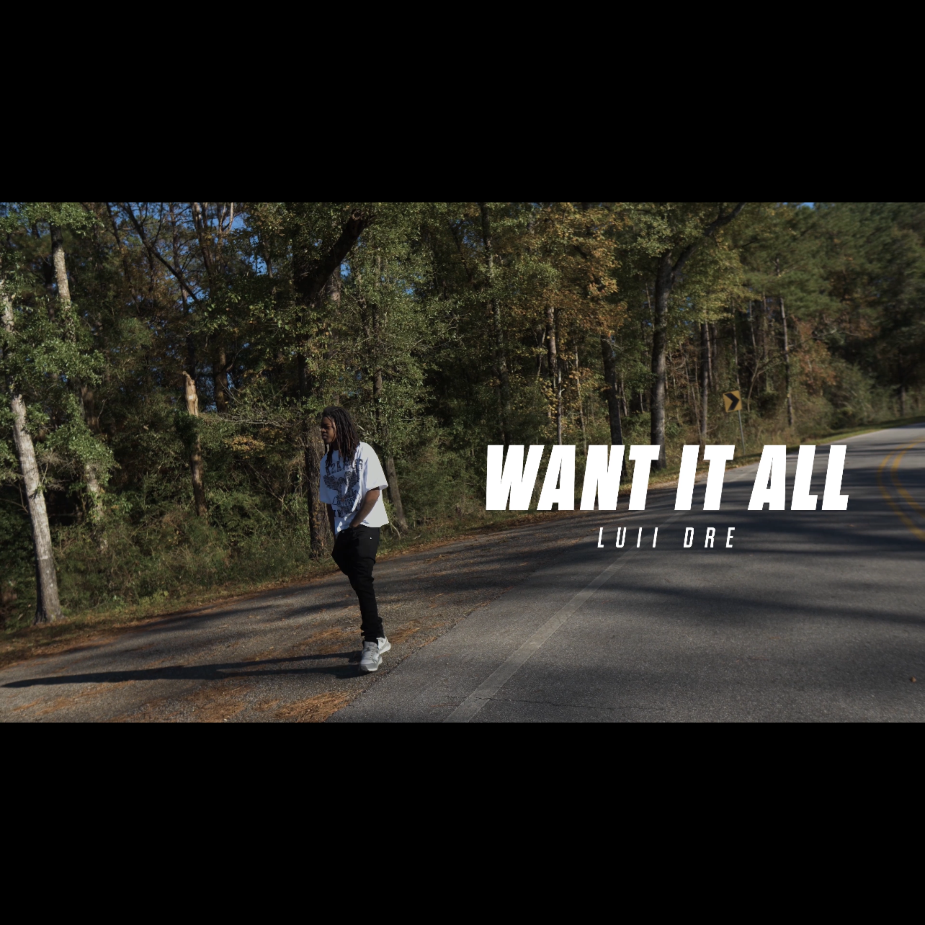 want it all artwork