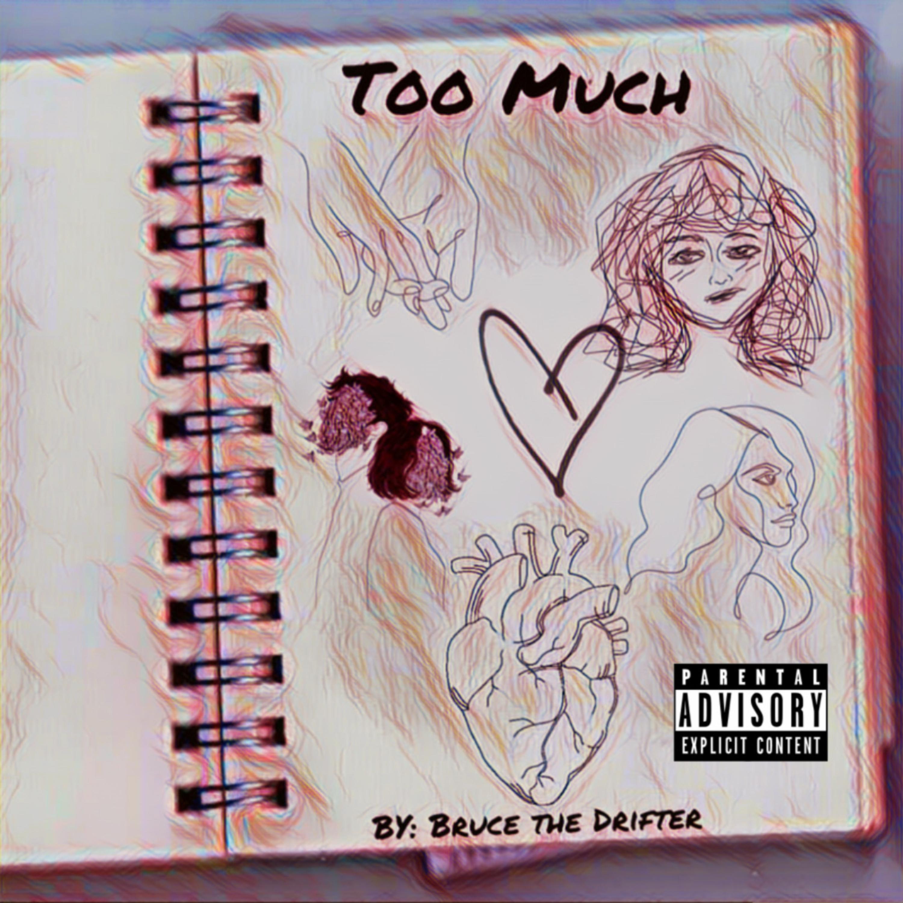 Too Much artwork