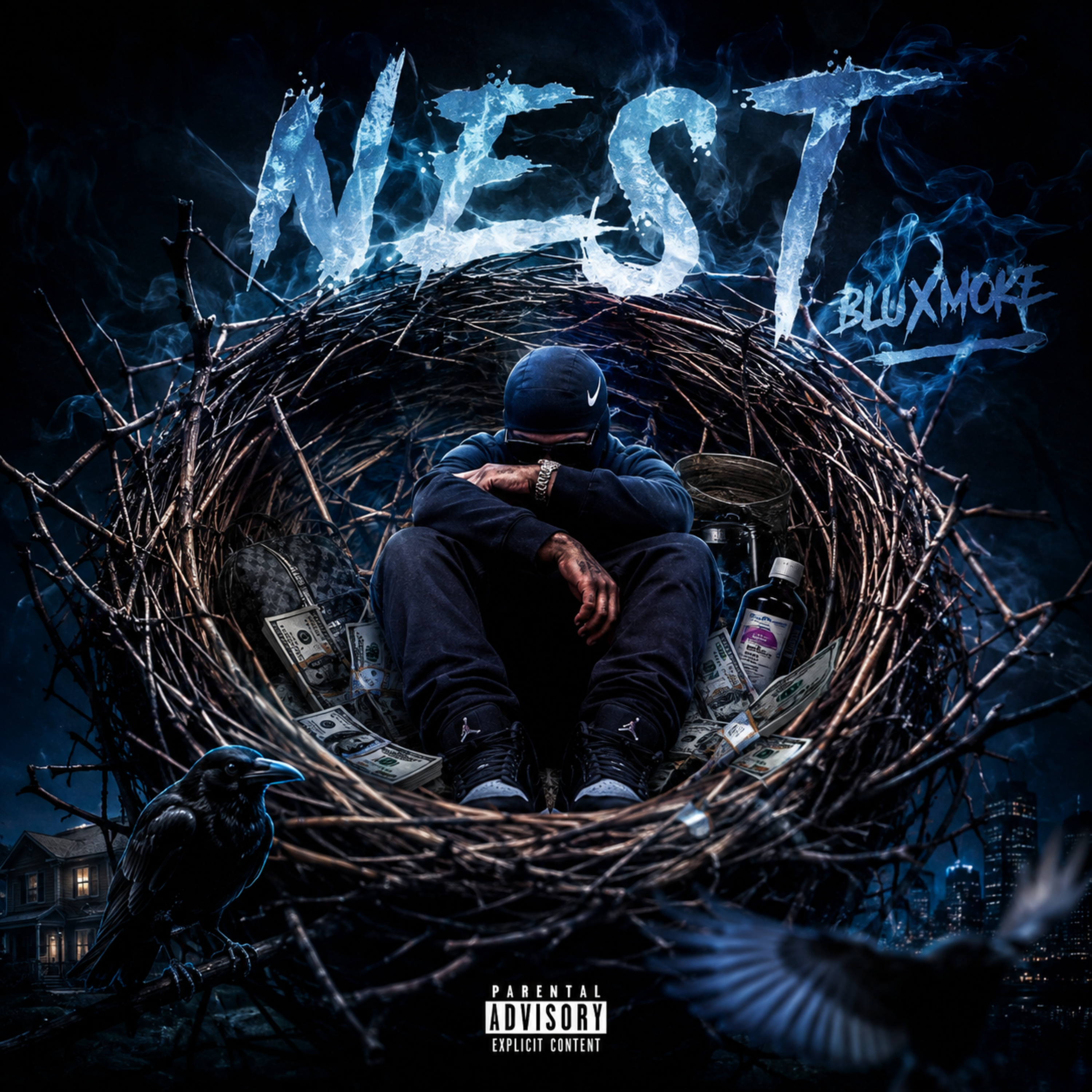 Nest by Blowsmoke Blue cover art