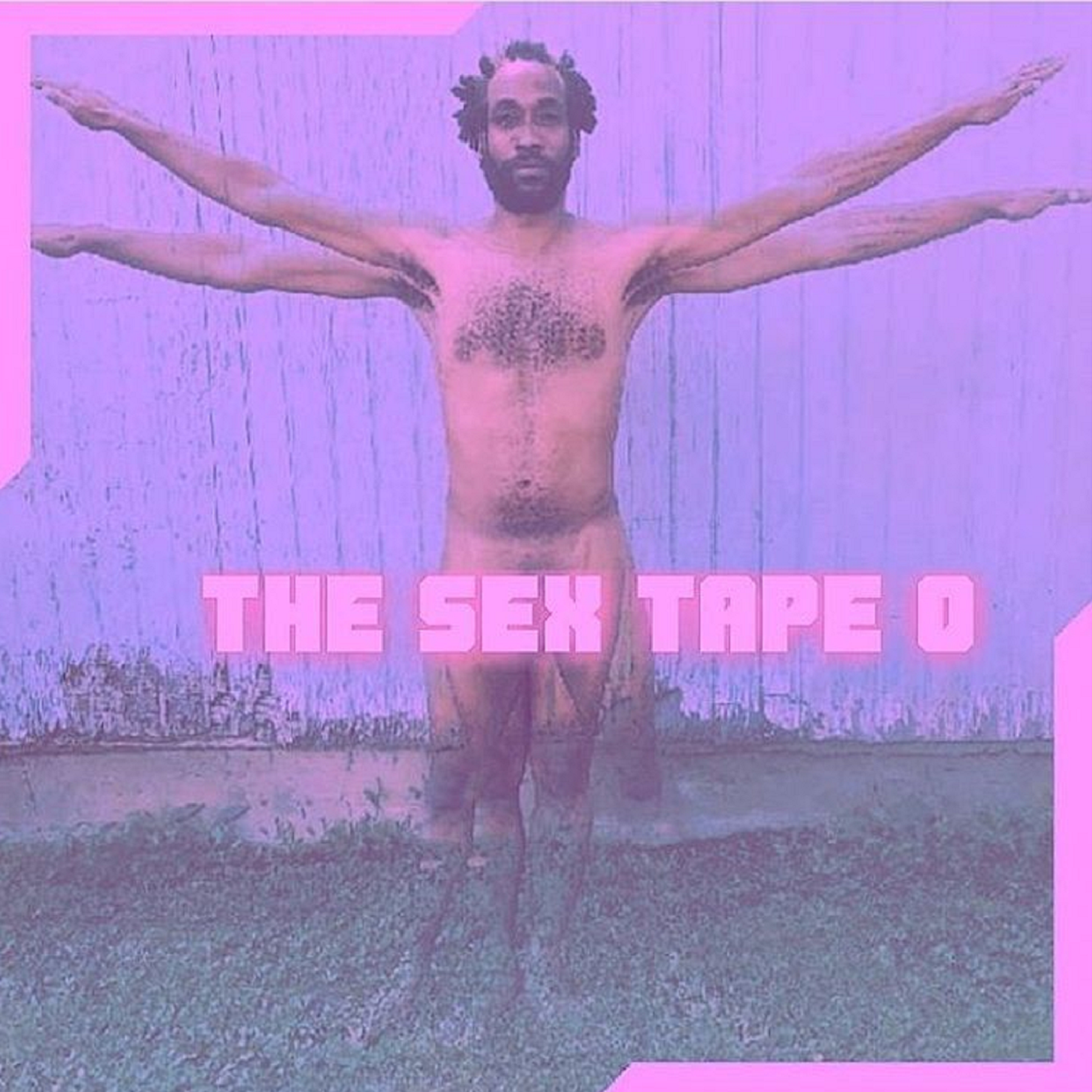 The Sex Tape 0 artwork