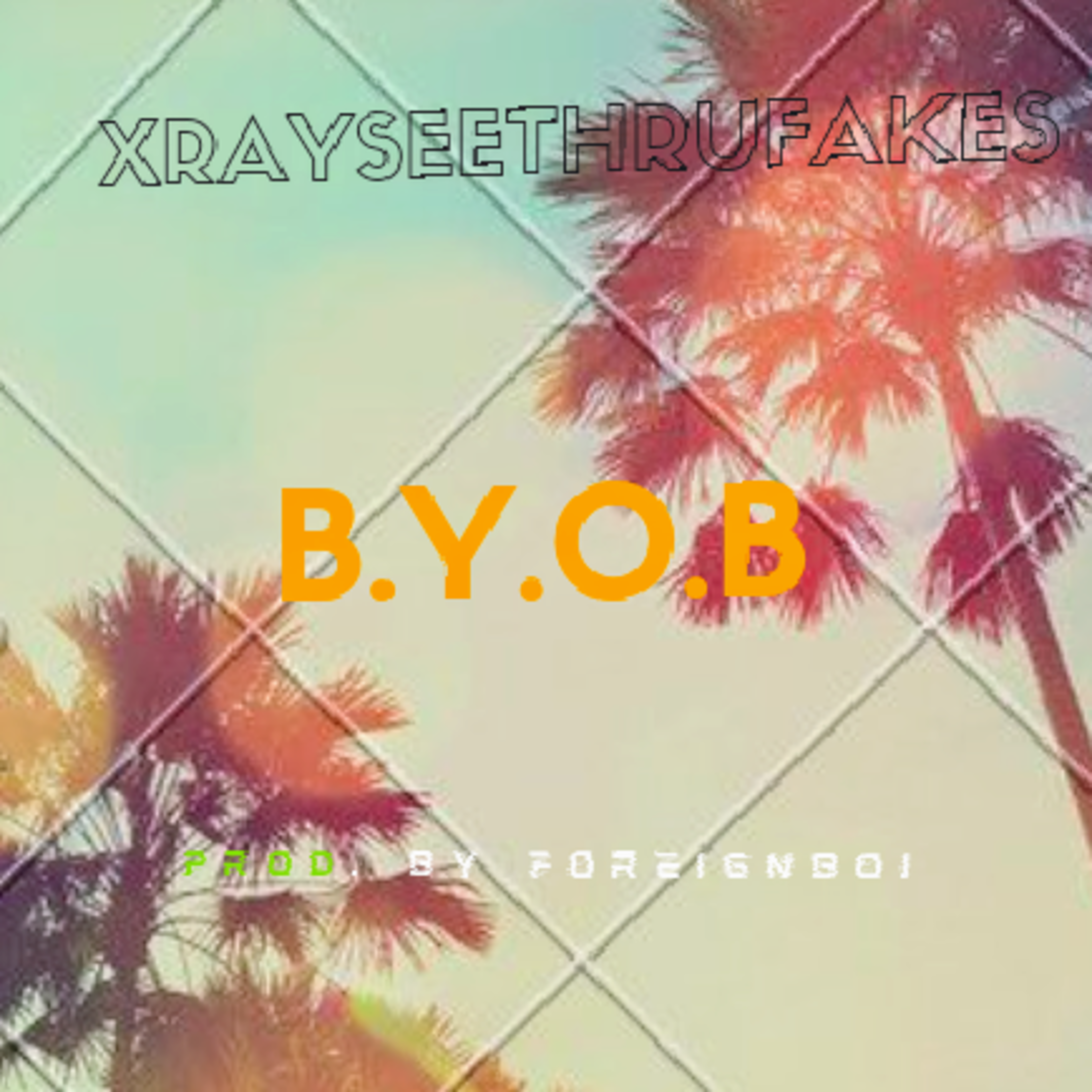 B.Y.O.B  artwork