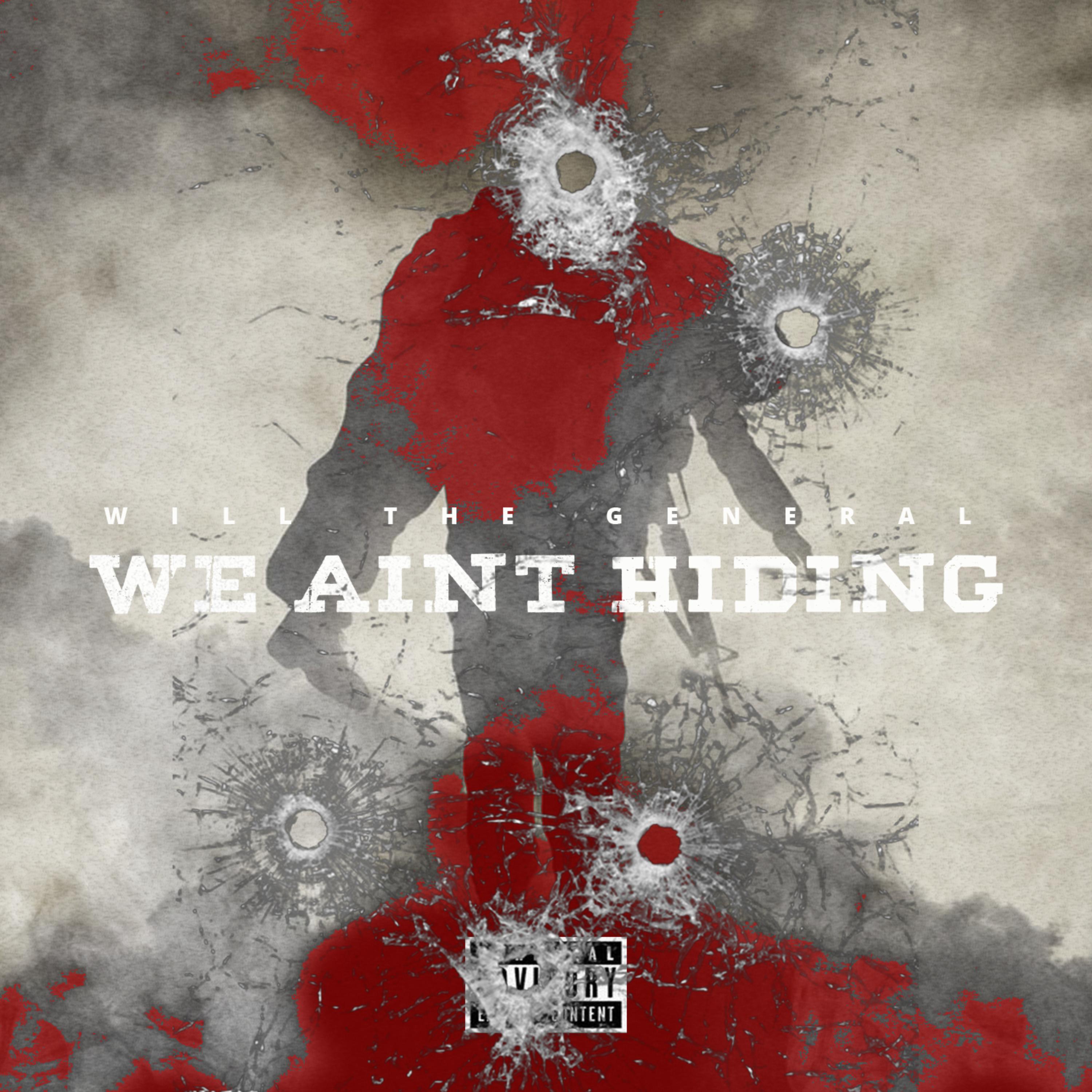 We Aint Hiding artwork