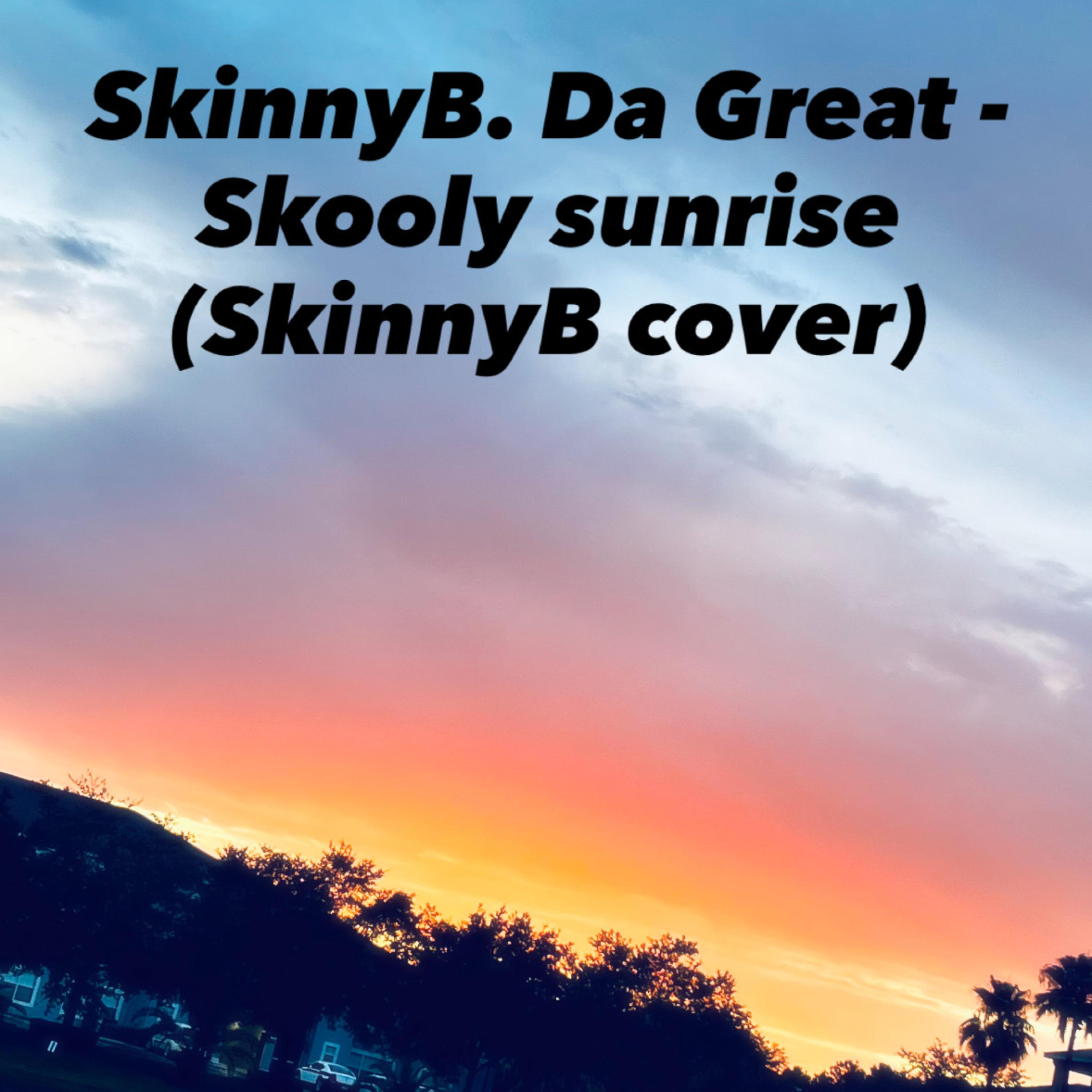 Skooly Sunrise  artwork