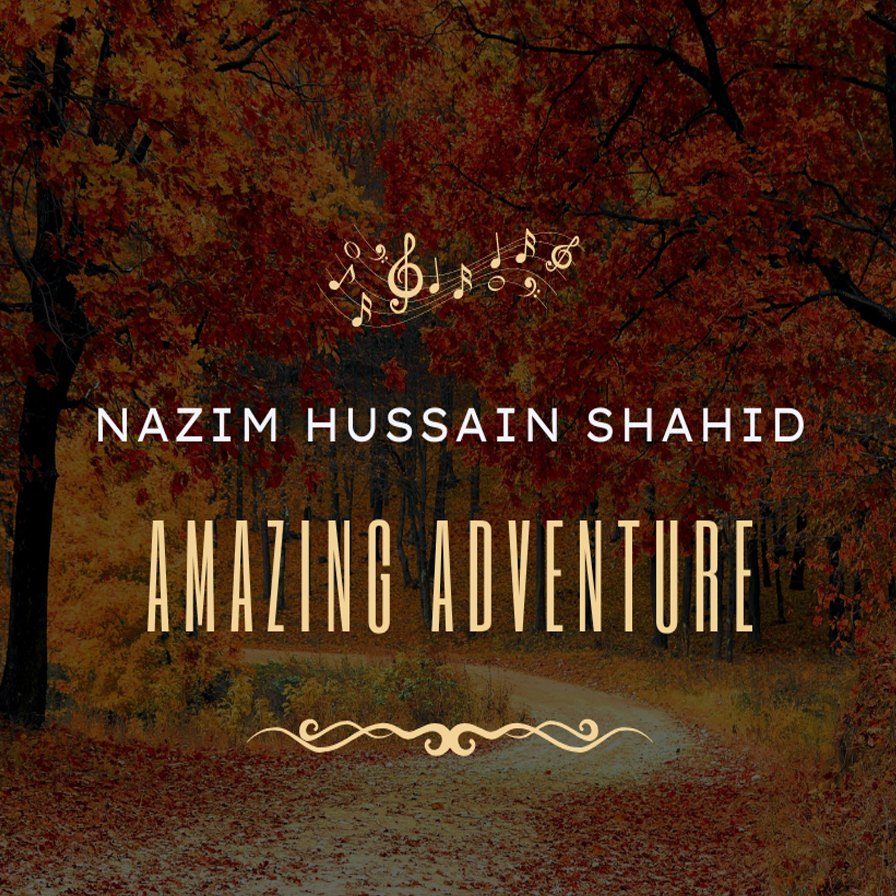 Amazing Adventure artwork