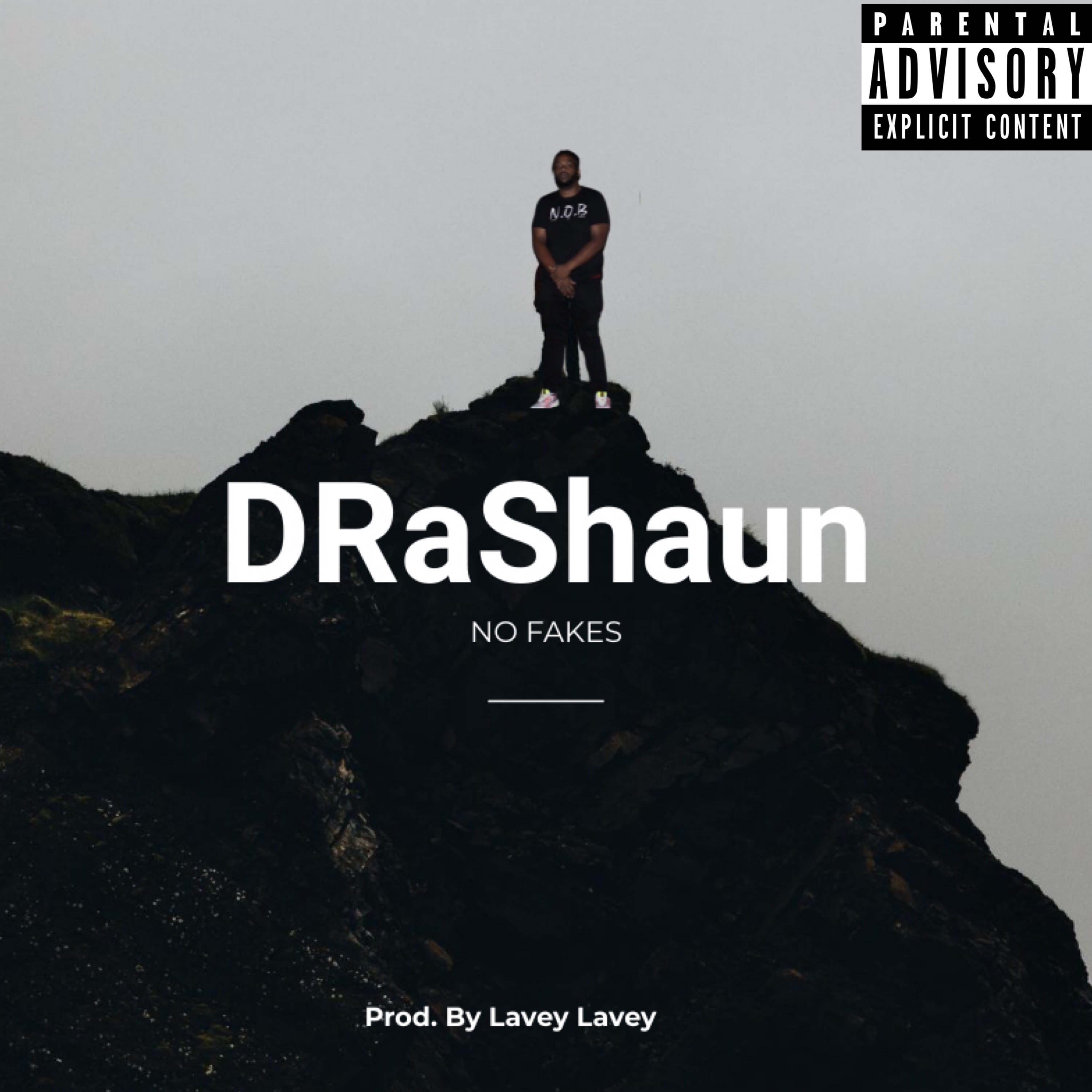 No Fakes artwork